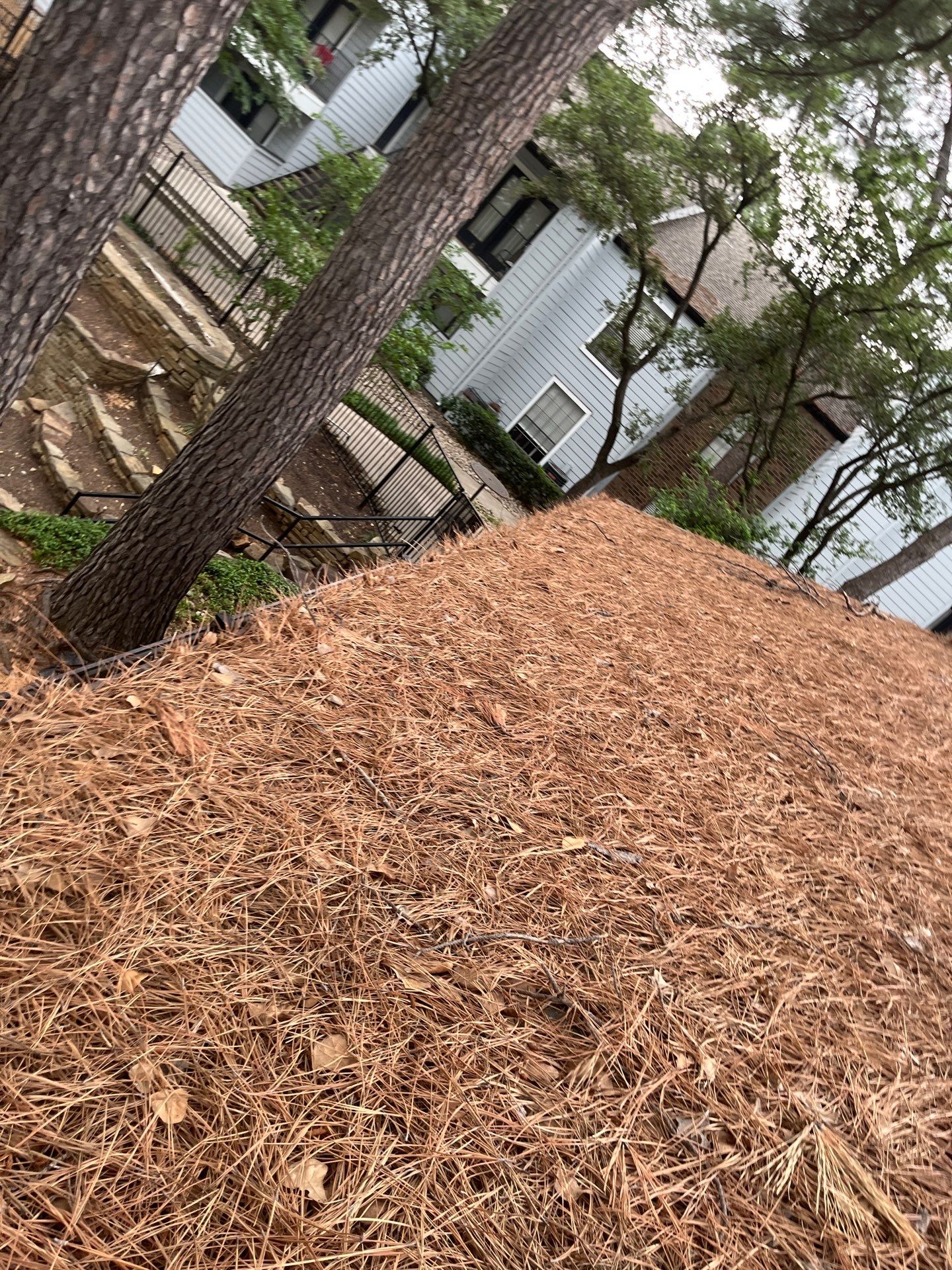 Commercial gutter cleaning Denton, TX before photo with filled gutters