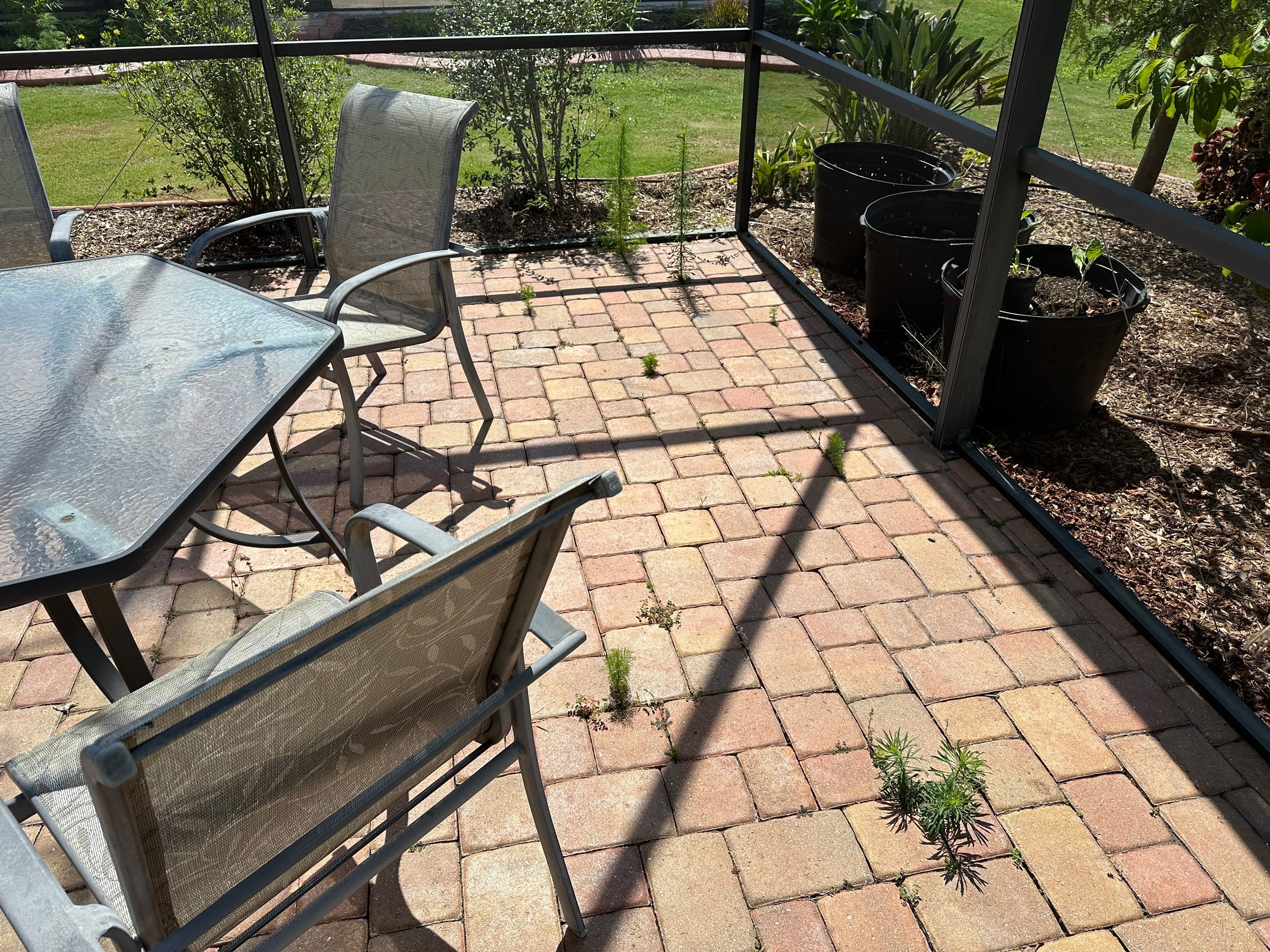 Paver Cleaning and Sealing in Sun City Center by Supreme Paver Experts