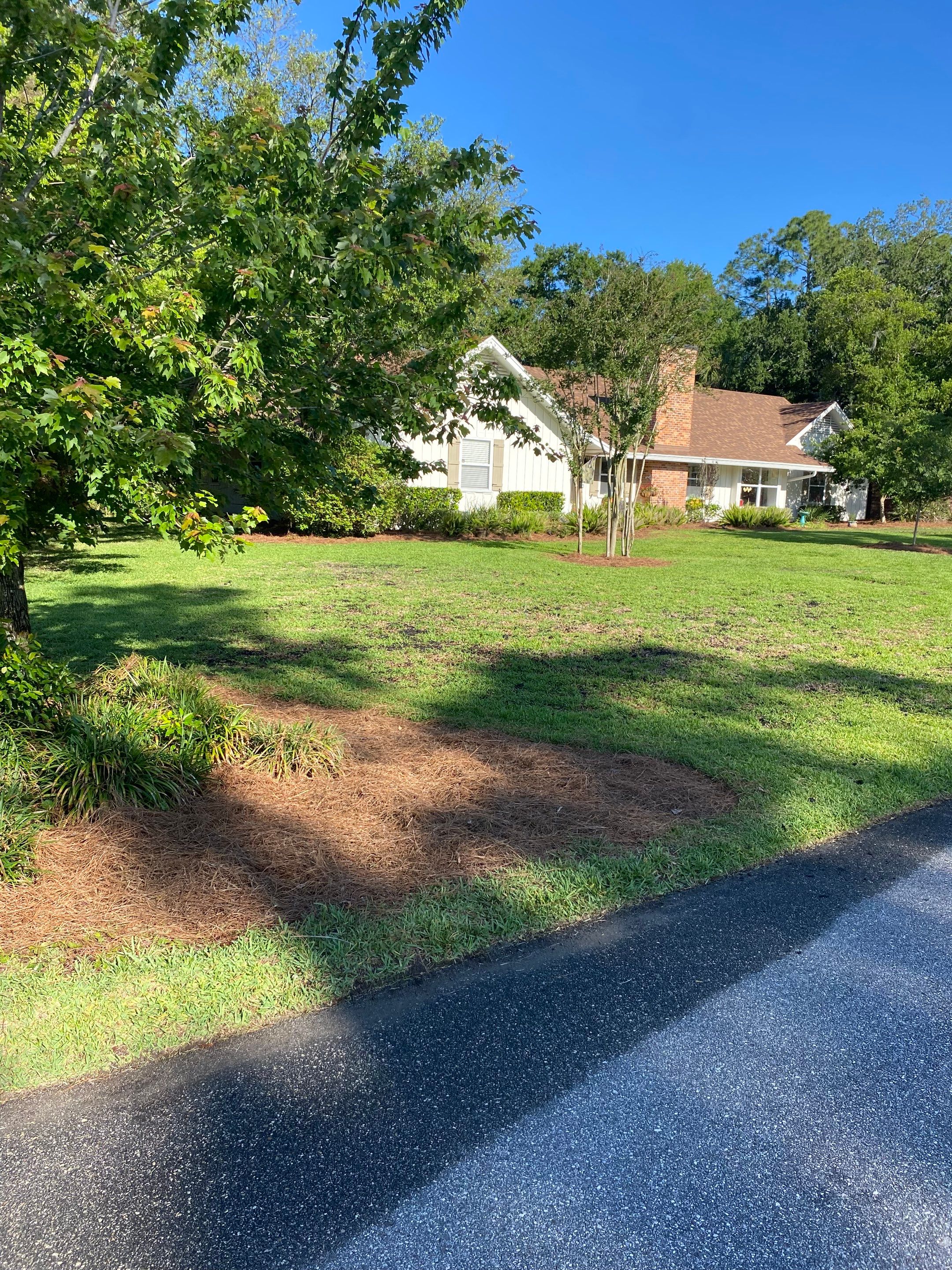 Deerwood Resident | Pine Straw & Topsoil Install by ProGreen Services