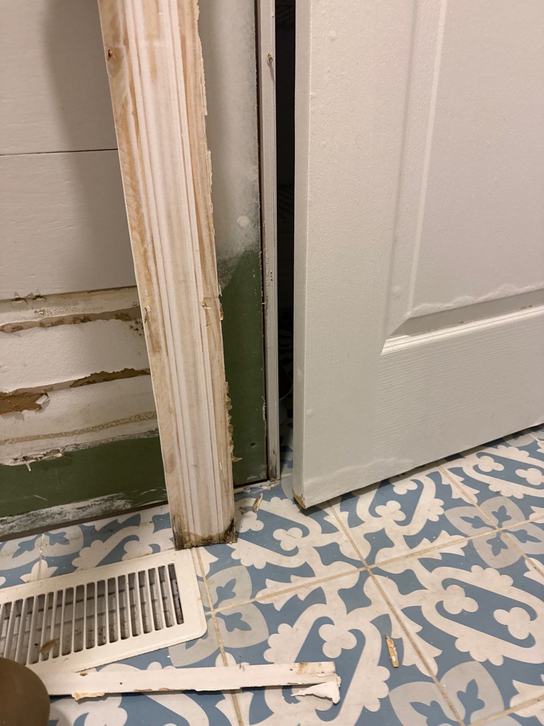 Bathroom and Crawlspace Water Damage and Mold by Healthy Home Solutions