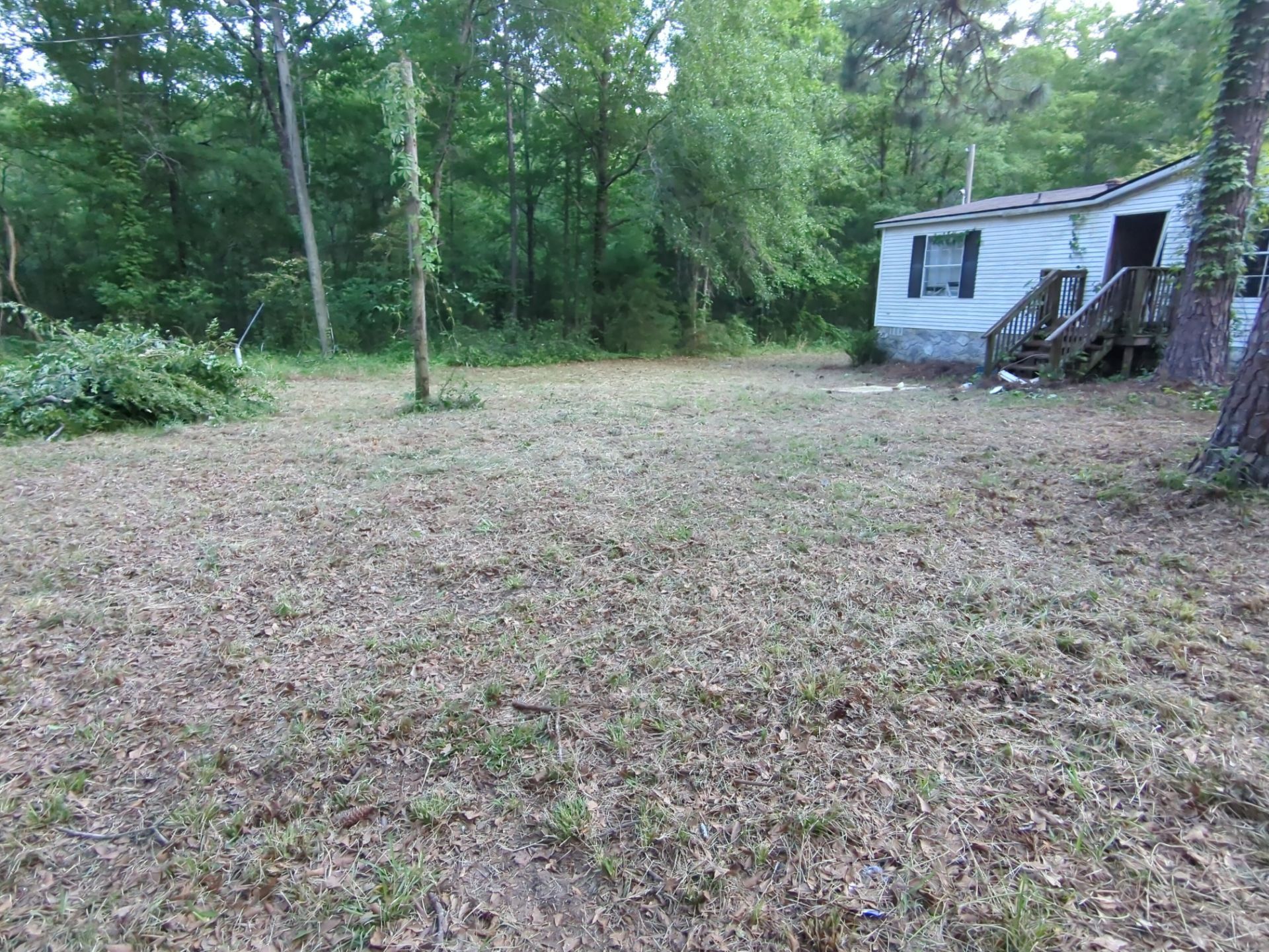 Exterior Clearing - tree trimming - grass cut by Swift Signings and Services LLC