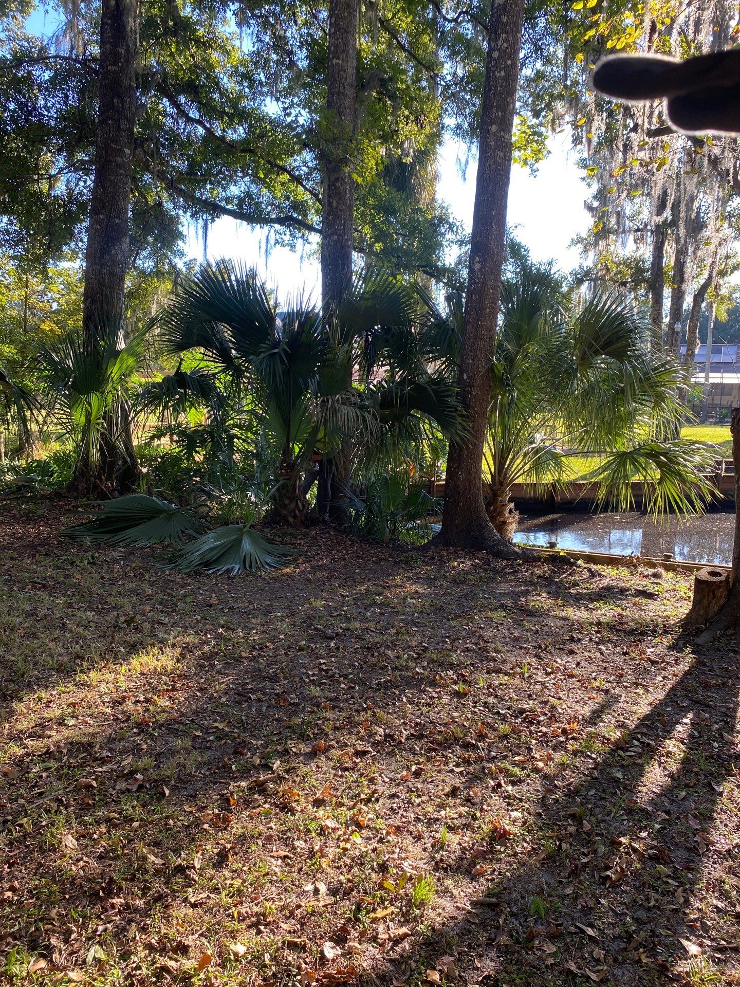 Deerwood Resident | Extreme Clean Up by ProGreen Services