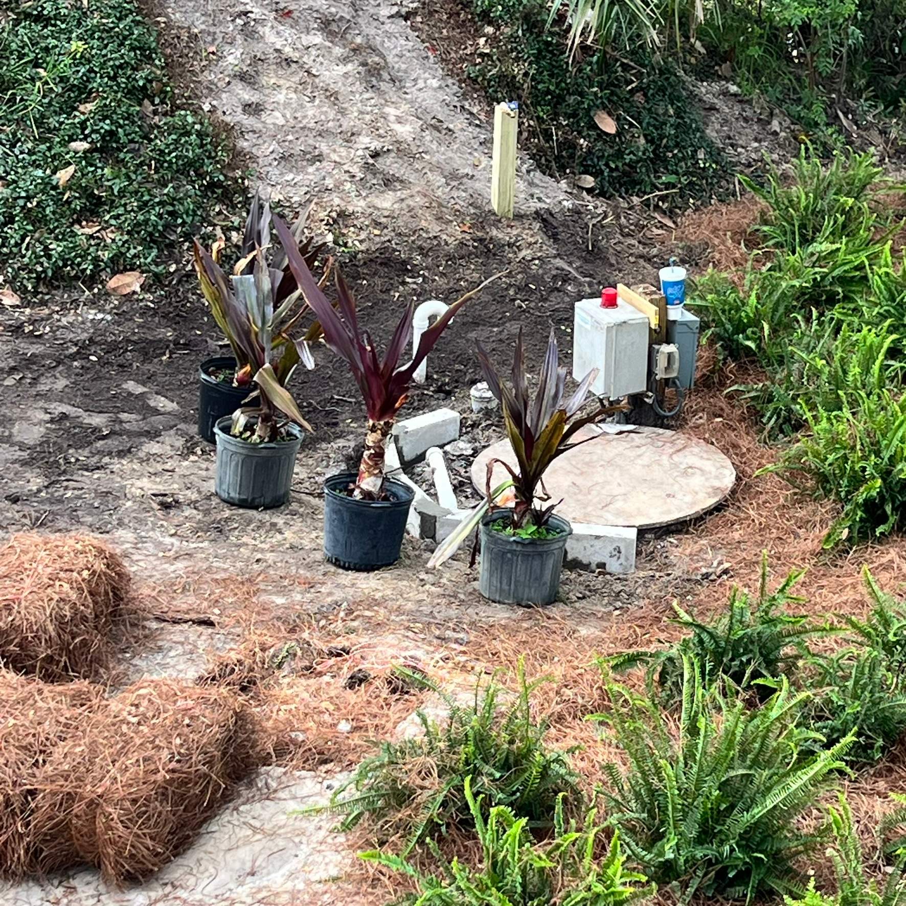 Landscape Install | Residence by ProGreen Services