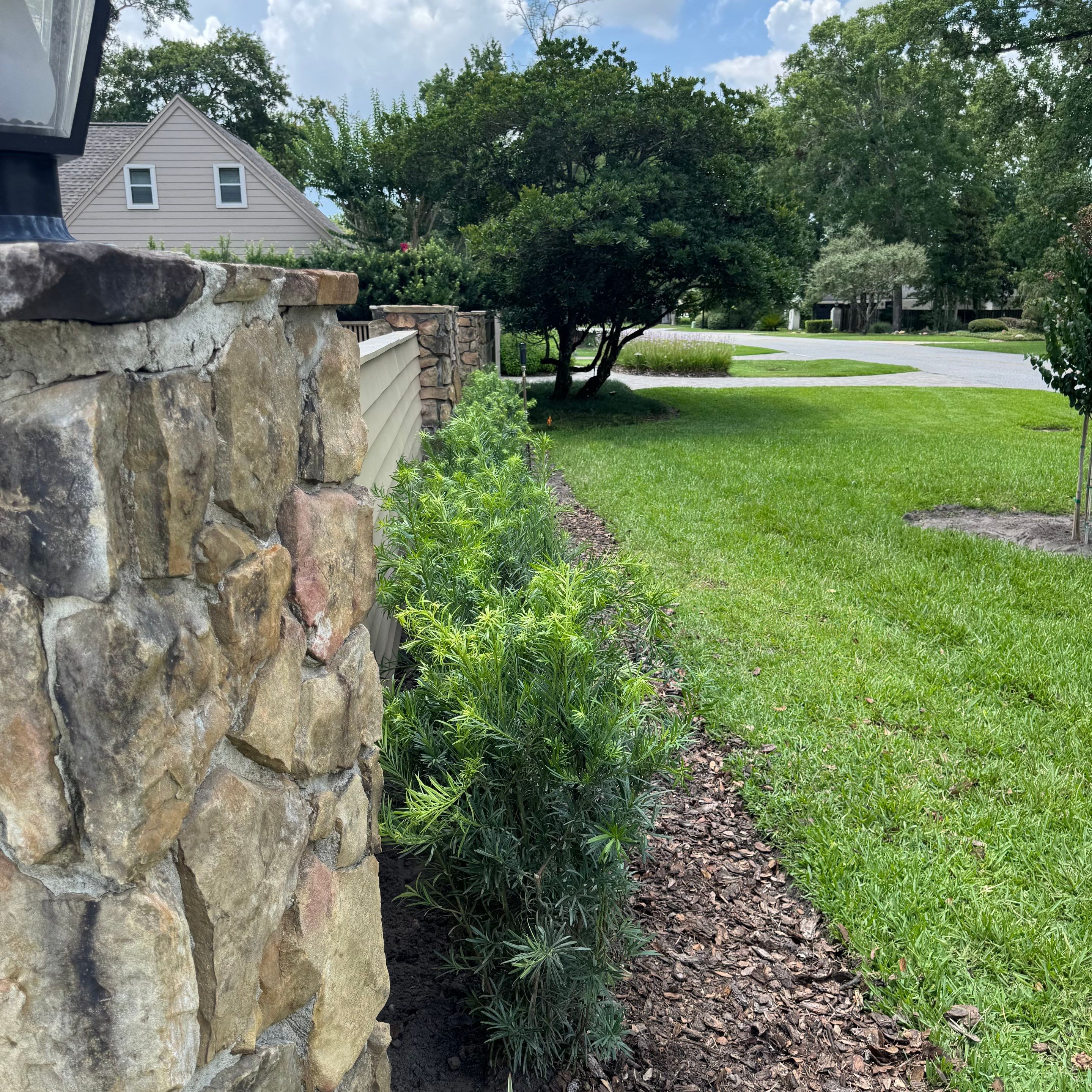 Deerwood Resident | Plant Install & Tree Work by ProGreen Services