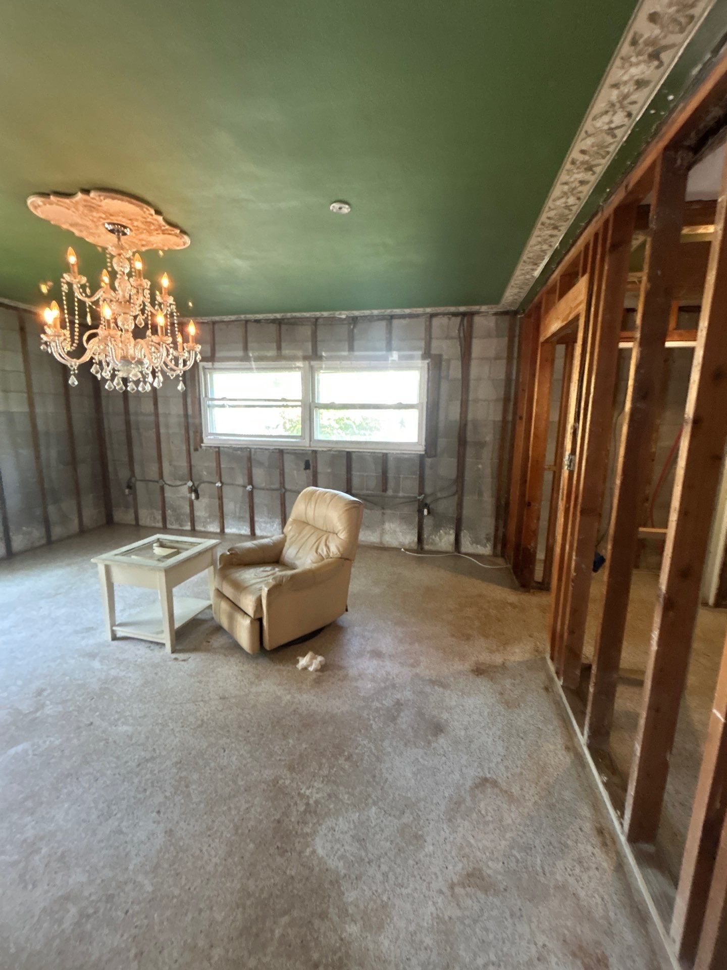 Sarasota Mold Remediation by Ampm Restoration Services