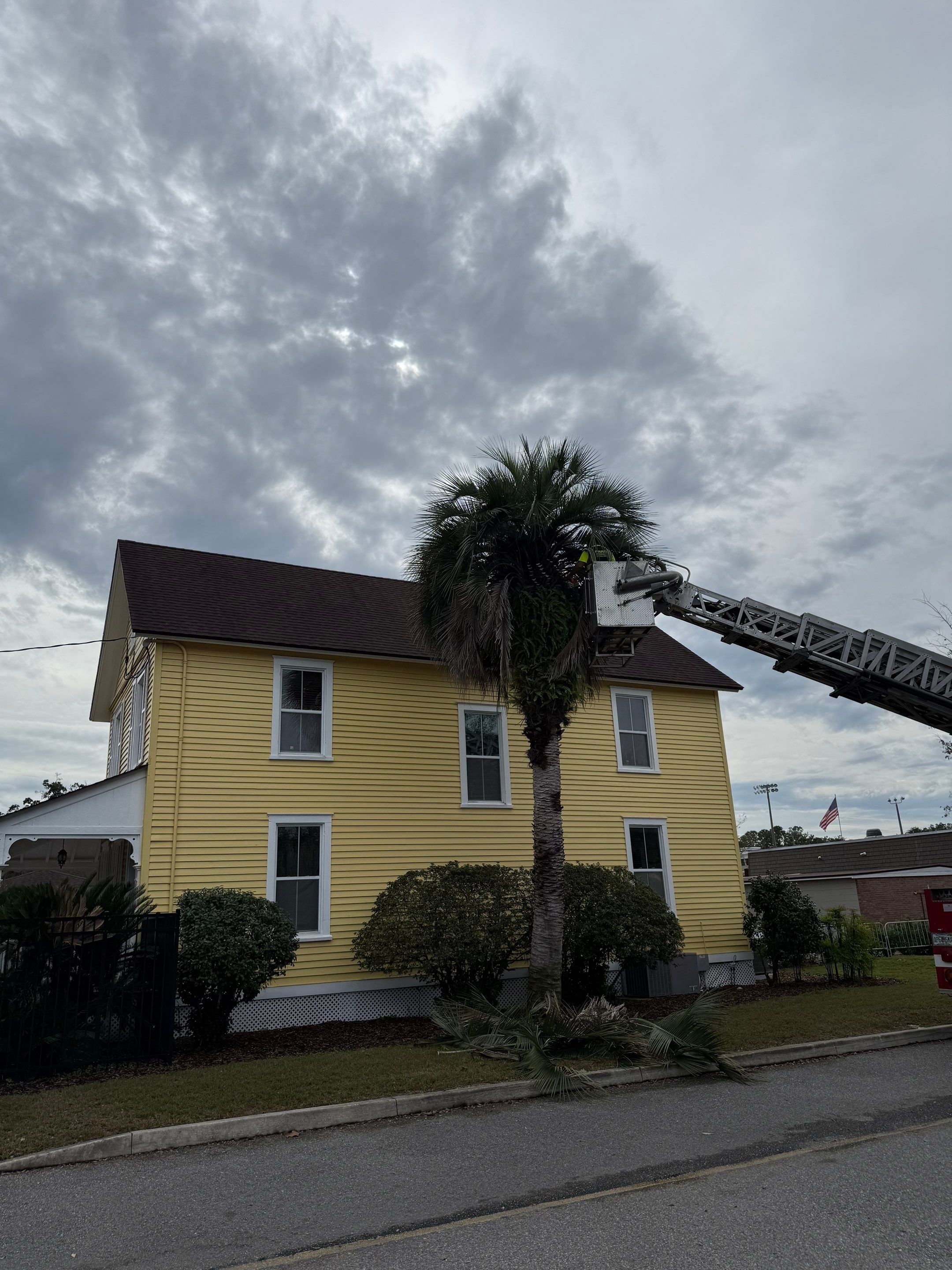 Volunteer Work | Episcopal High School of Jacksonville by ProGreen Services