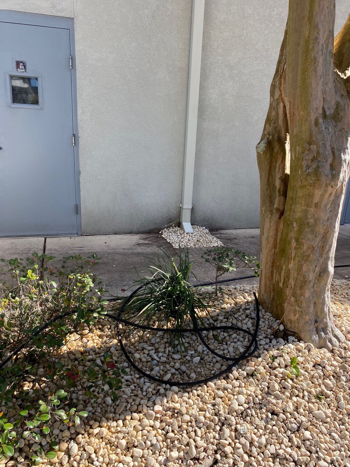 Larry’s Giant Subs | Rock & Mulch by ProGreen Services