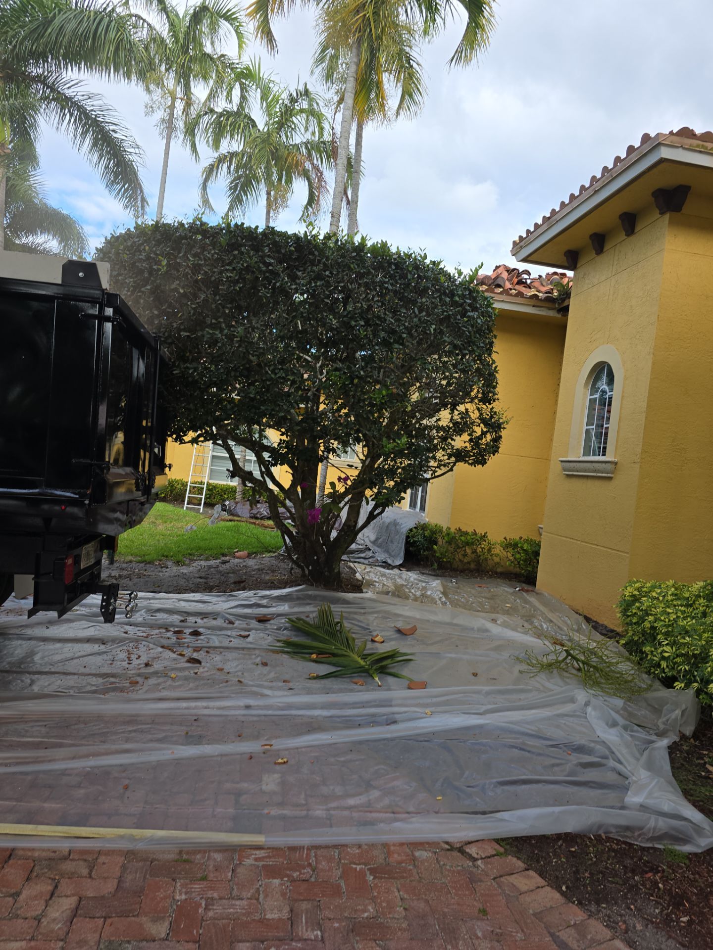 Metal Roof in Davie by Roofing Recovery