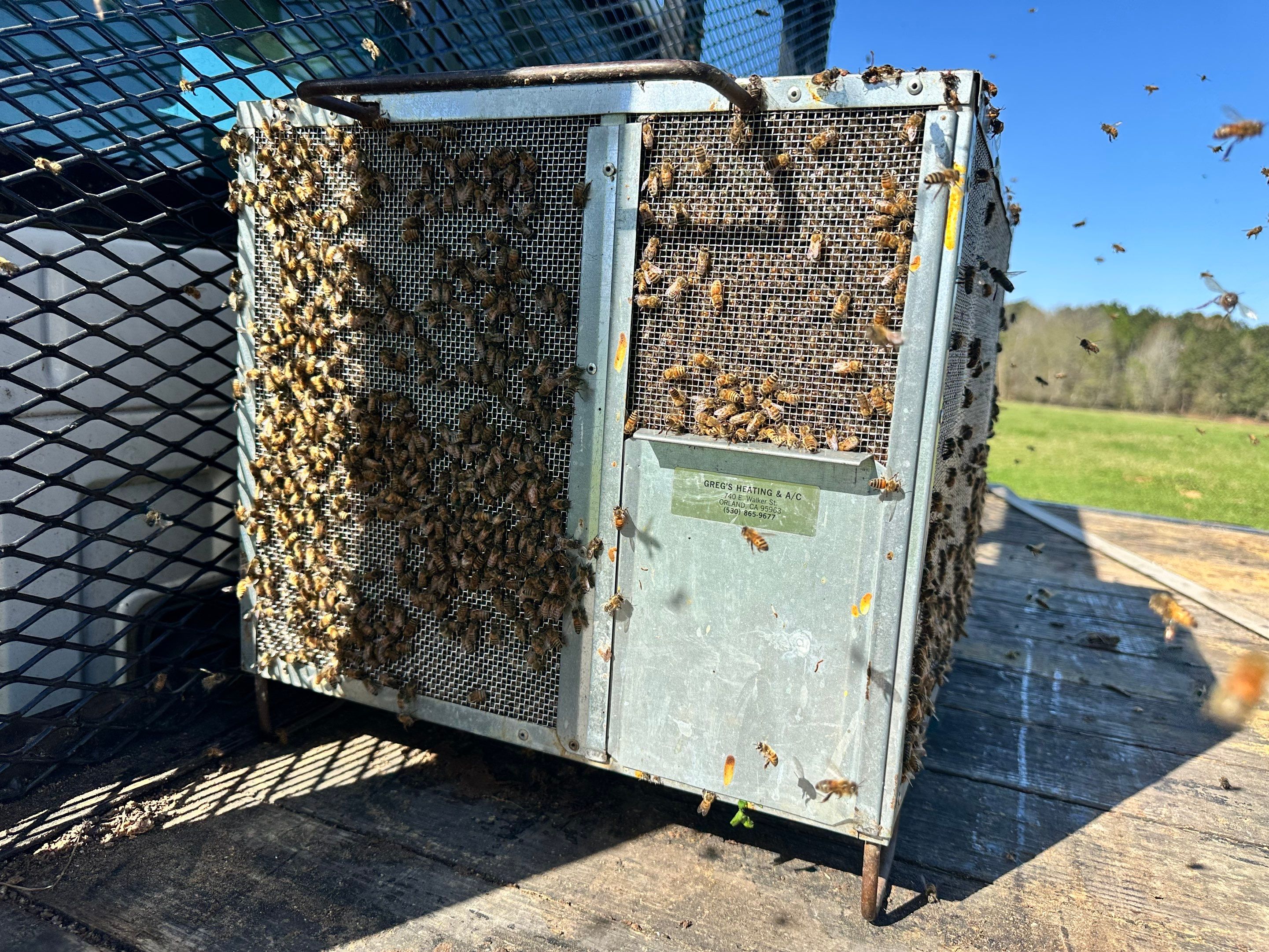 Peanut Farm Apiary by Rockwall Honey Bee Company