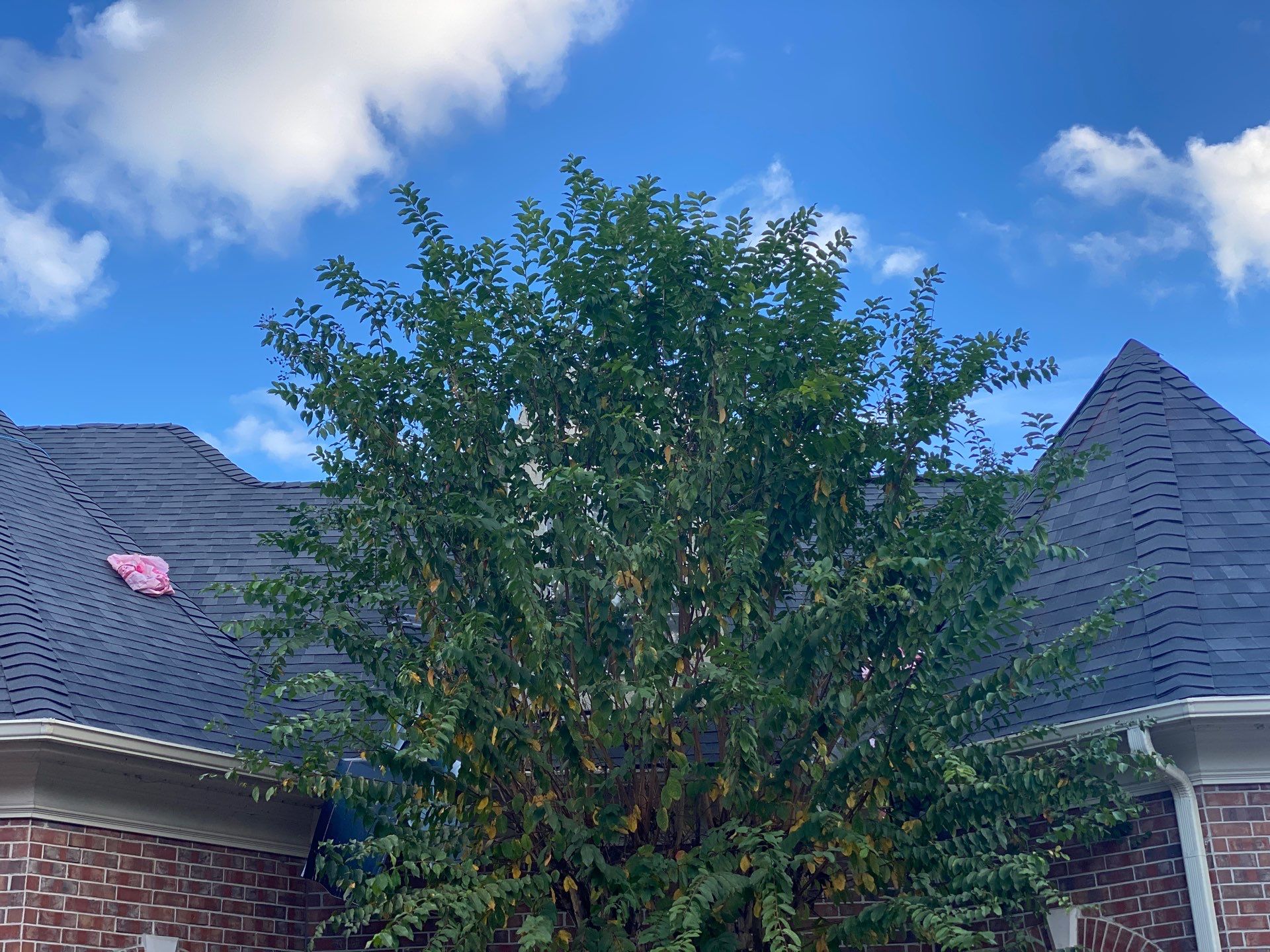 Katy Texas Residential Roofing Installation by Roof Repair Services LLC