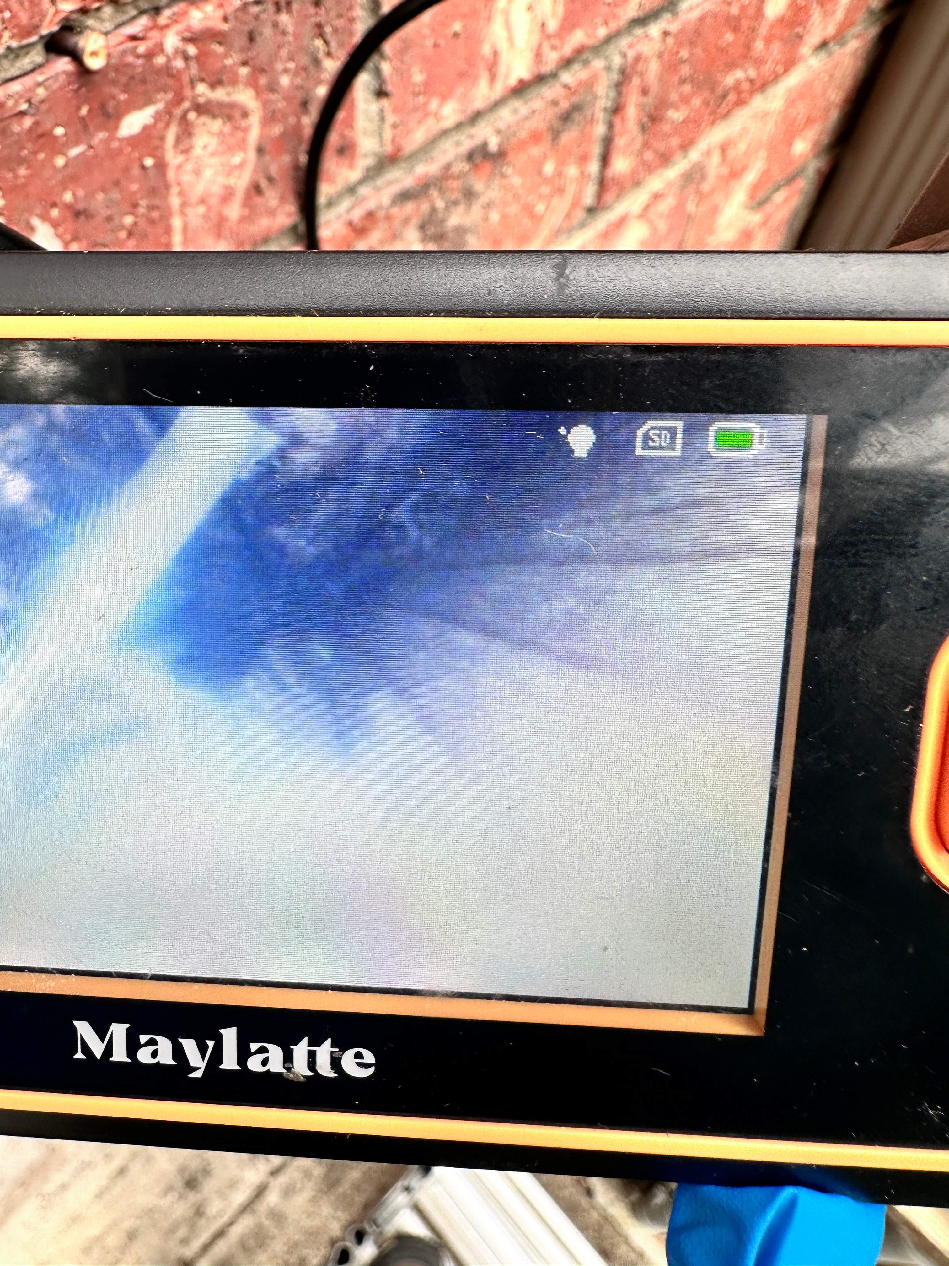 Floor Bees Invade! by Rockwall Honey Bee Company