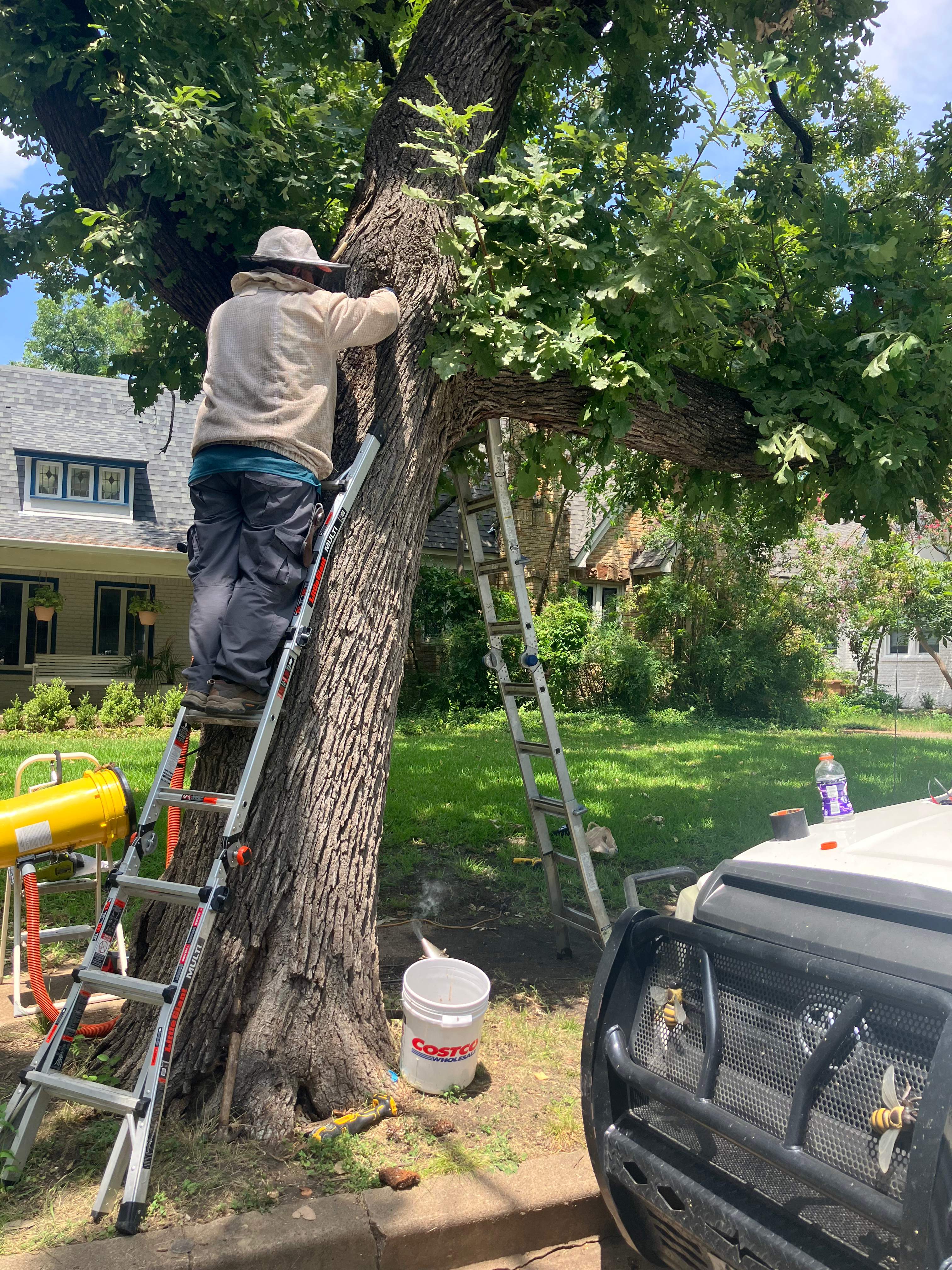 Tight Squeeze by Rockwall Honey Bee Company