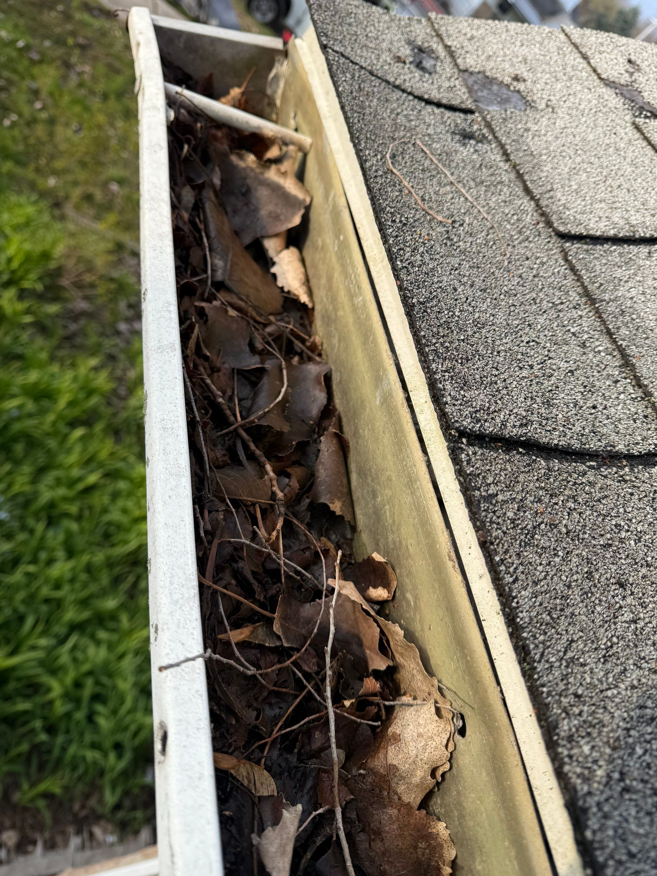 Project in Hazel Park by Eave Roofing