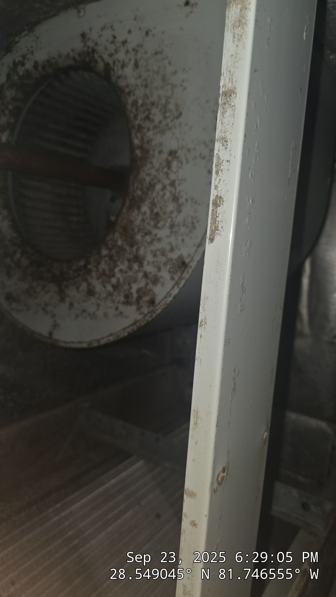 Commercial Air Duct Cleaning in Clermont by Hygienic Air, Inc