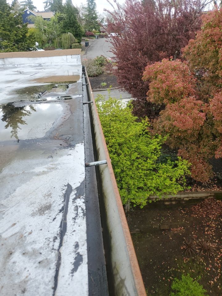 Gutter Cleaning using Moderate Pressure by Willamette Outdoor Wash LLC