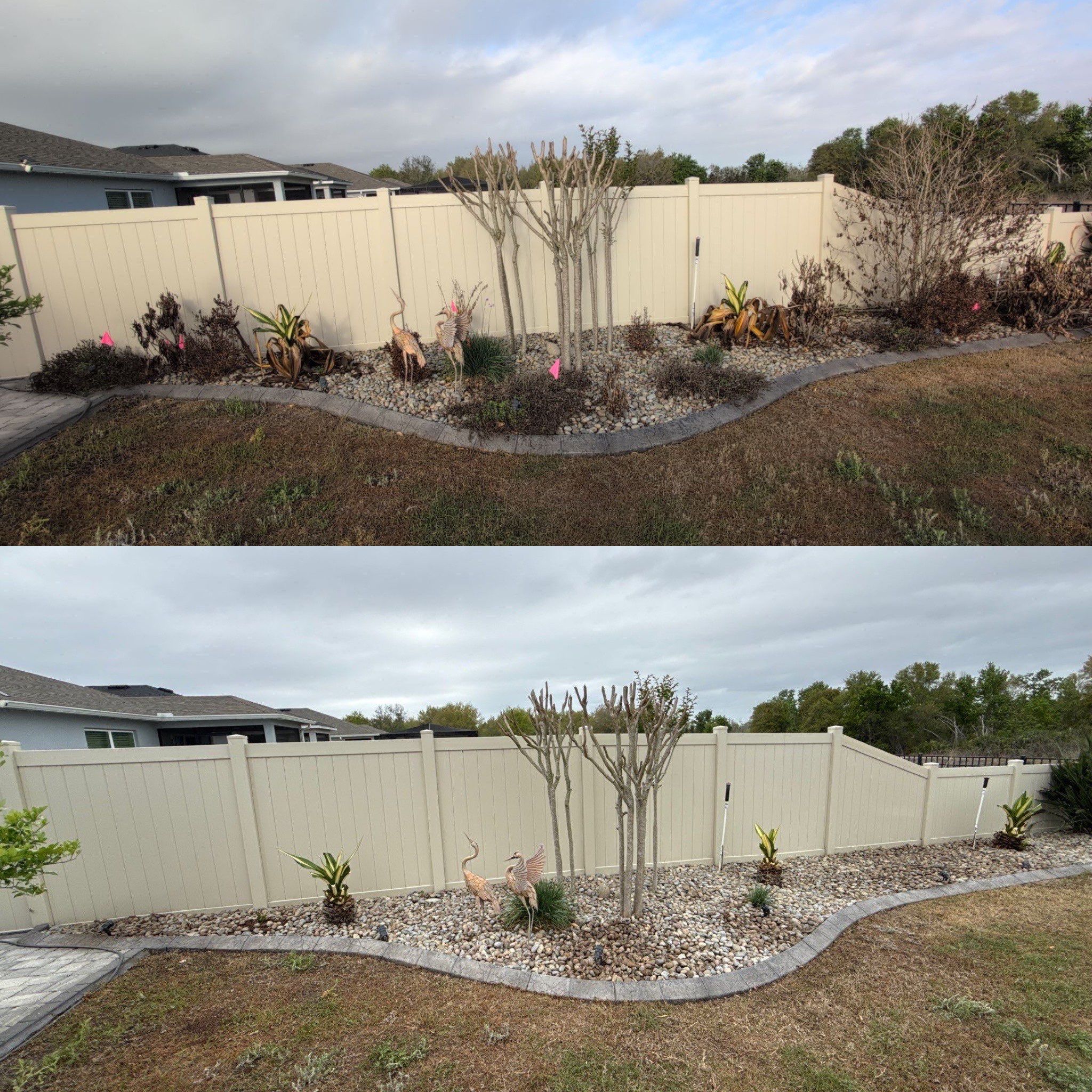 Cold Damage Plant Removal & Landscape Cleanup by
M.A.B. Landscaping & Property Maintenance