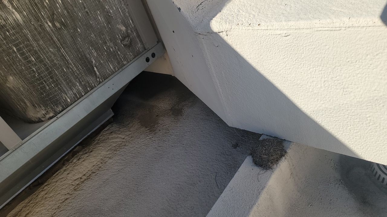 Christ The King by C&N Roofing  INC 