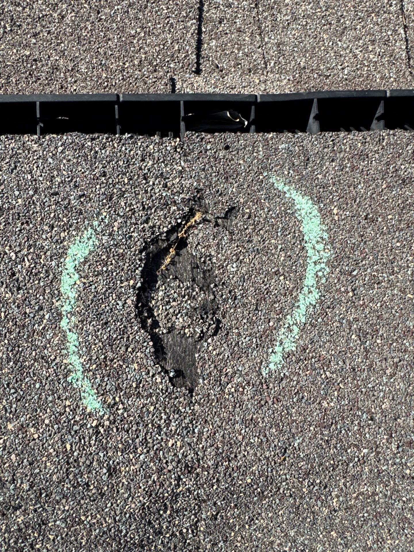 Debbie T by Boss Hogg Roofing