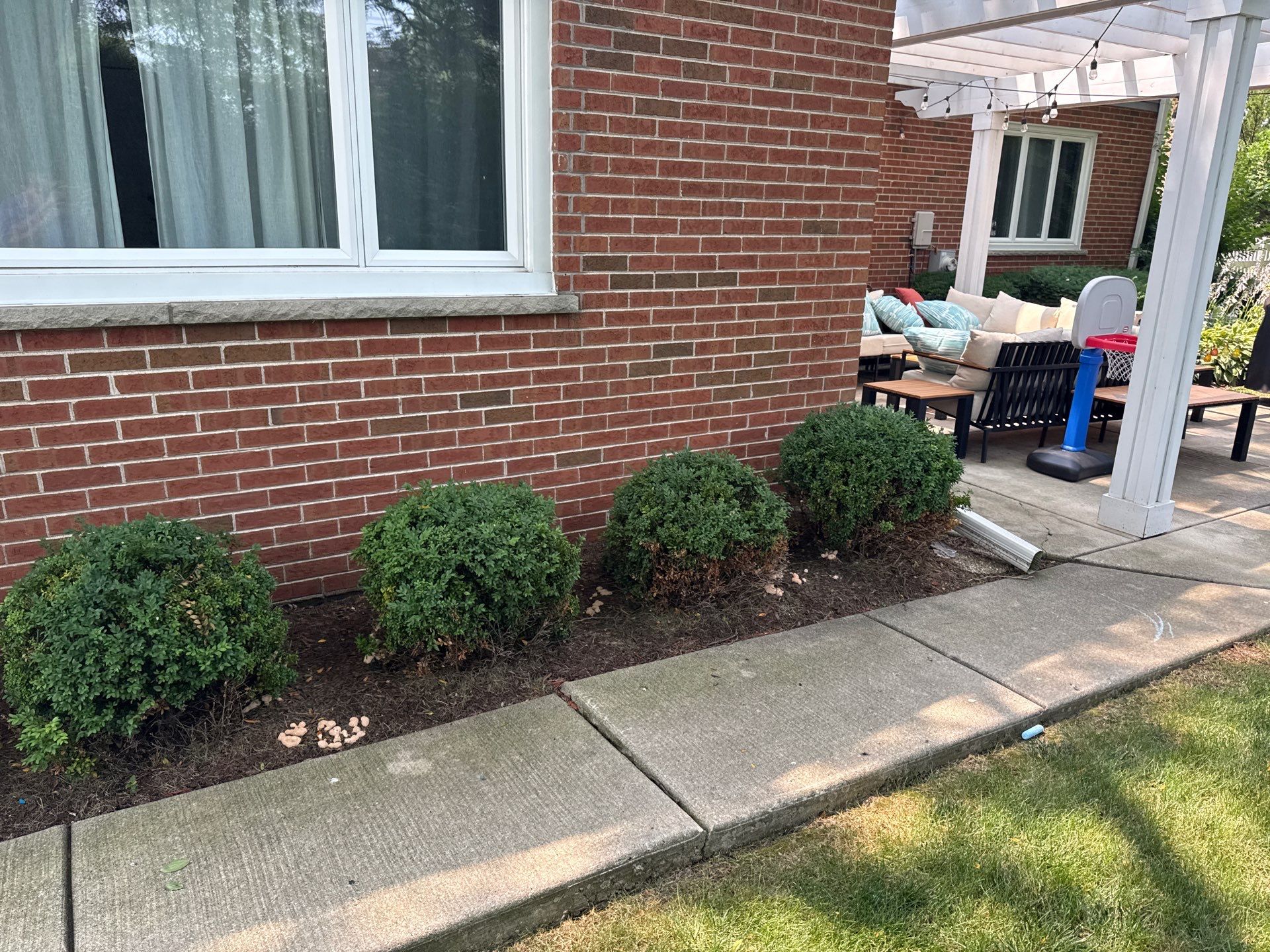 Michael I. - Glenview, IL by A&N 