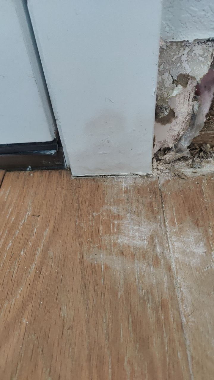 Mold Remediation  by Accountable Home Services