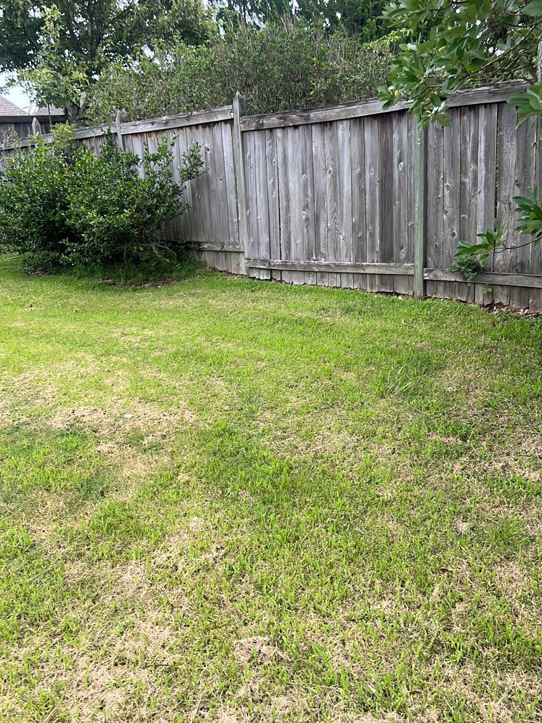 6ft Treated Pine Good Neighbor Fence French Gothic Posts by Roberson Construction LLC
