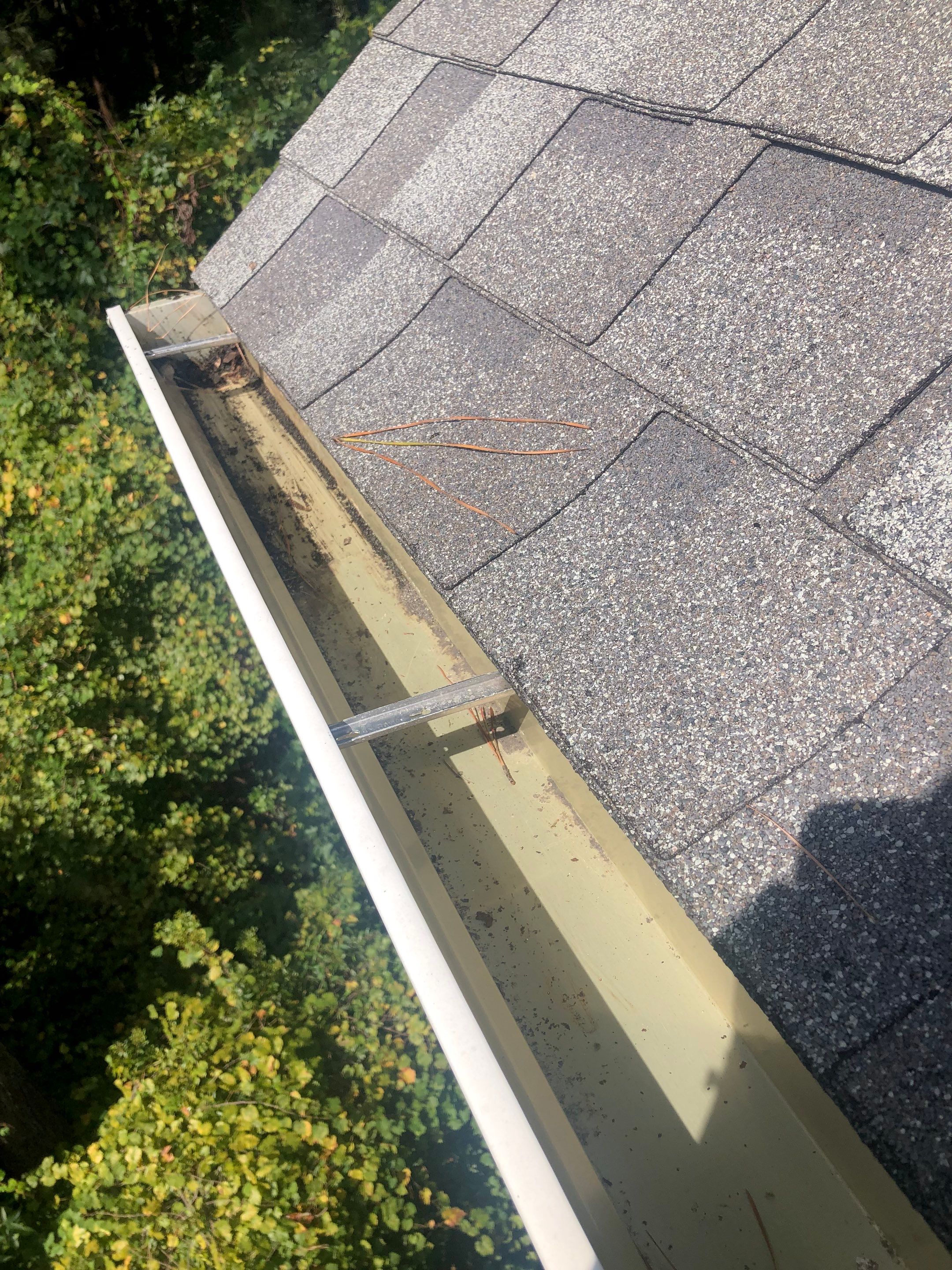 HOA gutter cleaning after photo.