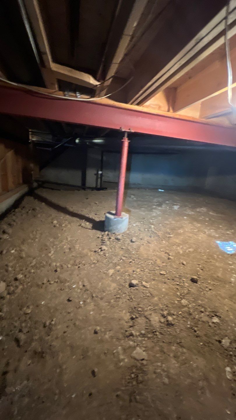 Mold Damage by Accountable Home Services