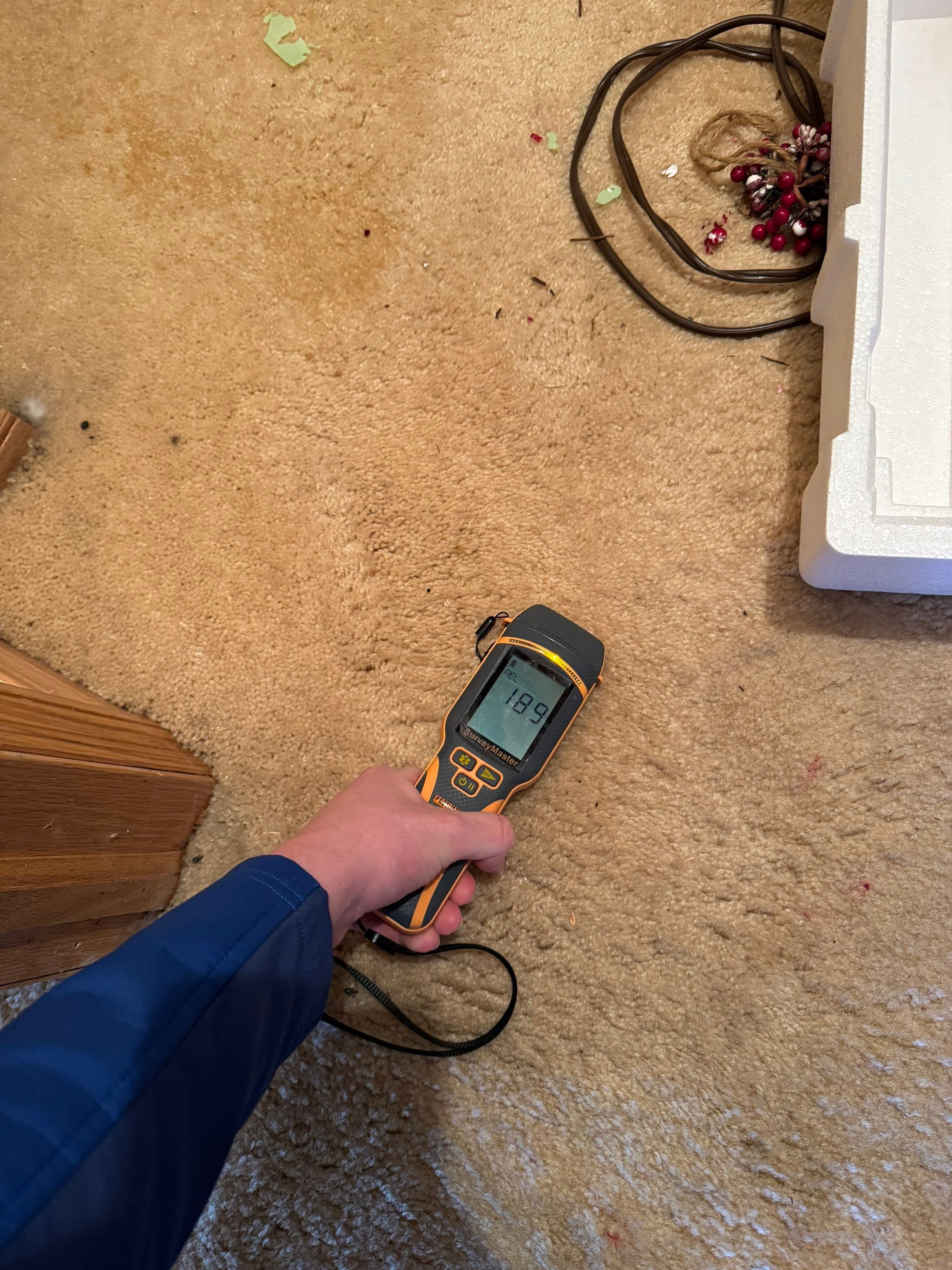 Water Damage in Wheat Ridge, CO by Alpha Restoration 