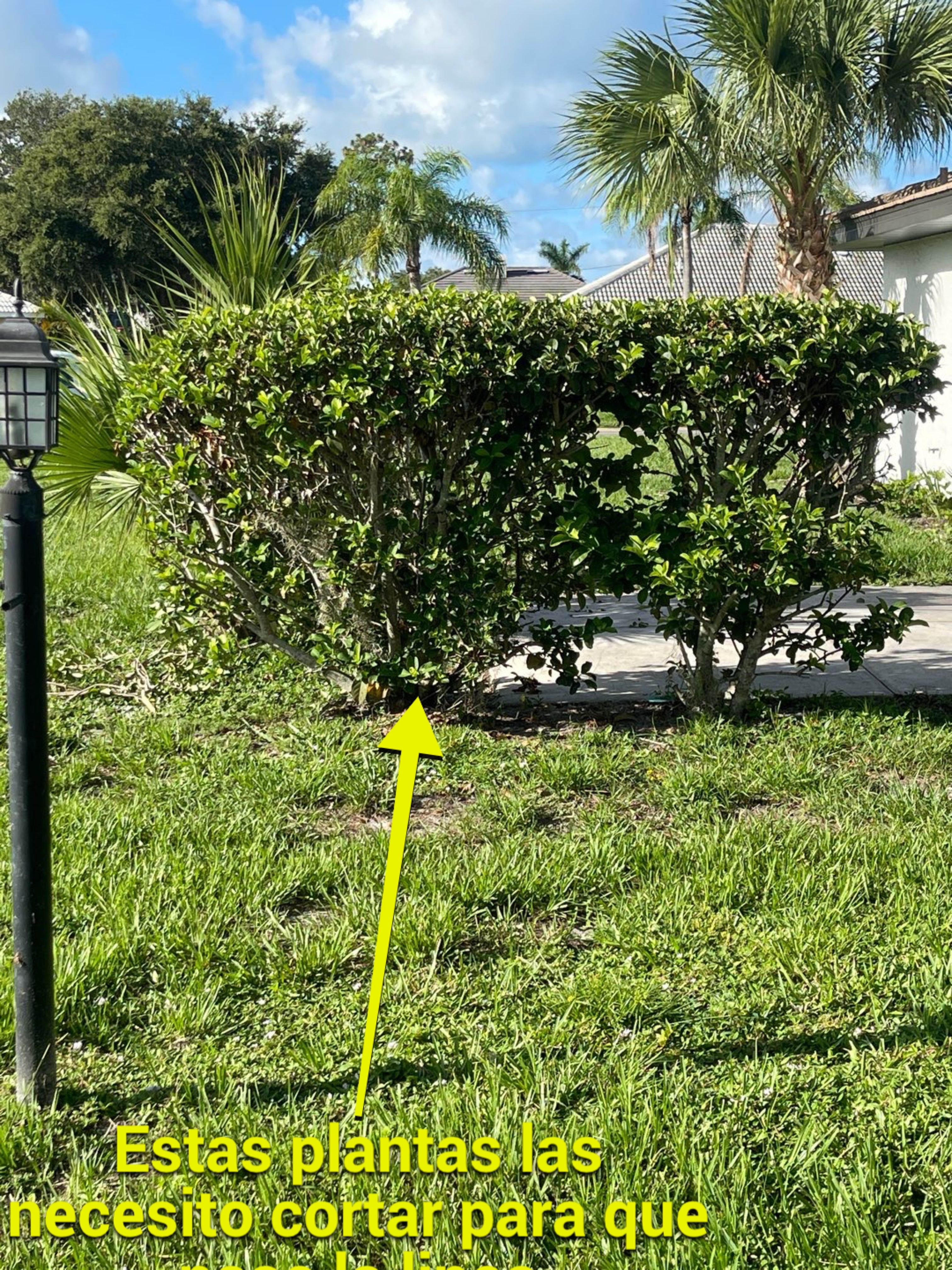 Nokomis, FL 6ft. Tall White Vinyl Privacy Fence by Asap fence and gates, LLC