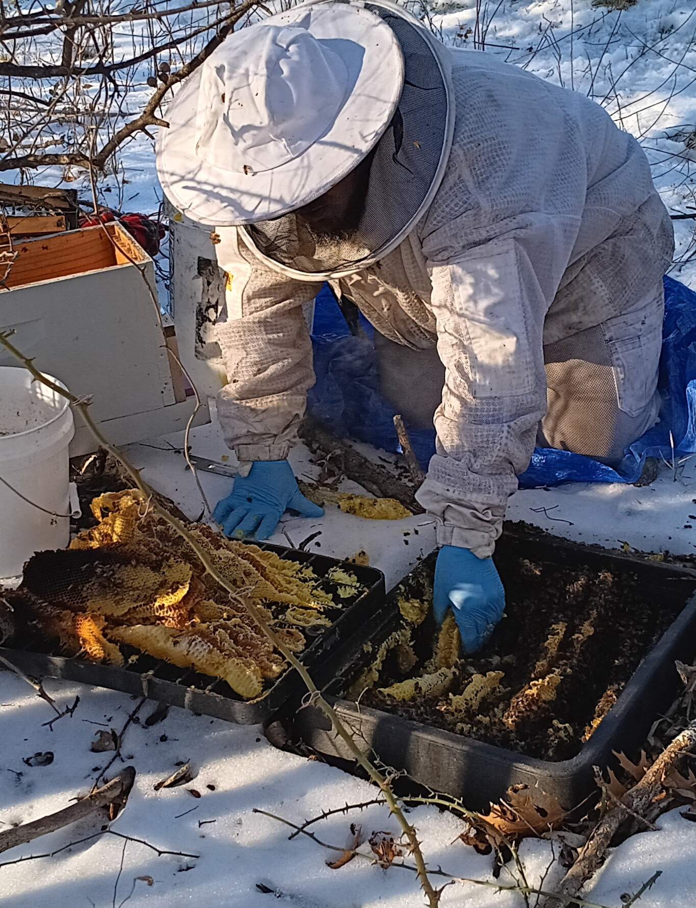 Winter Freeze Bees by Rockwall Honey Bee Company