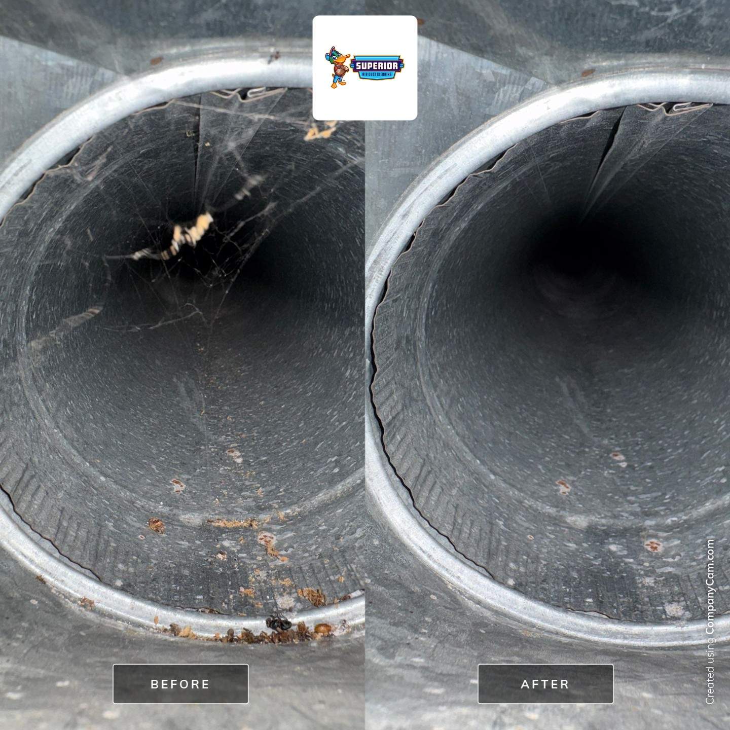 Air Duct Cleaning in Cranberry Twp, PA by Superior Air Duct Cleaning