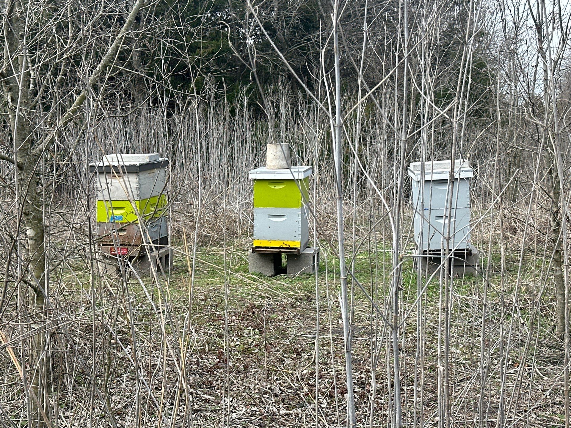 Ag. Exemption in Fate, TX by Rockwall Honey Bee Company