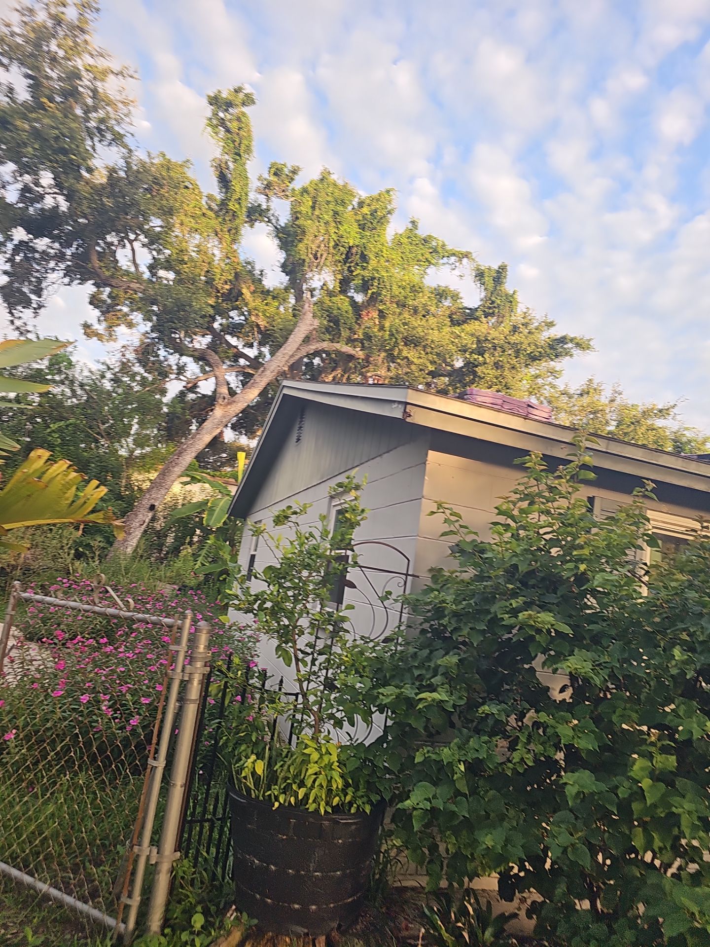Project in Clearwater 33760 by Mitchell Roofing Company LLC 