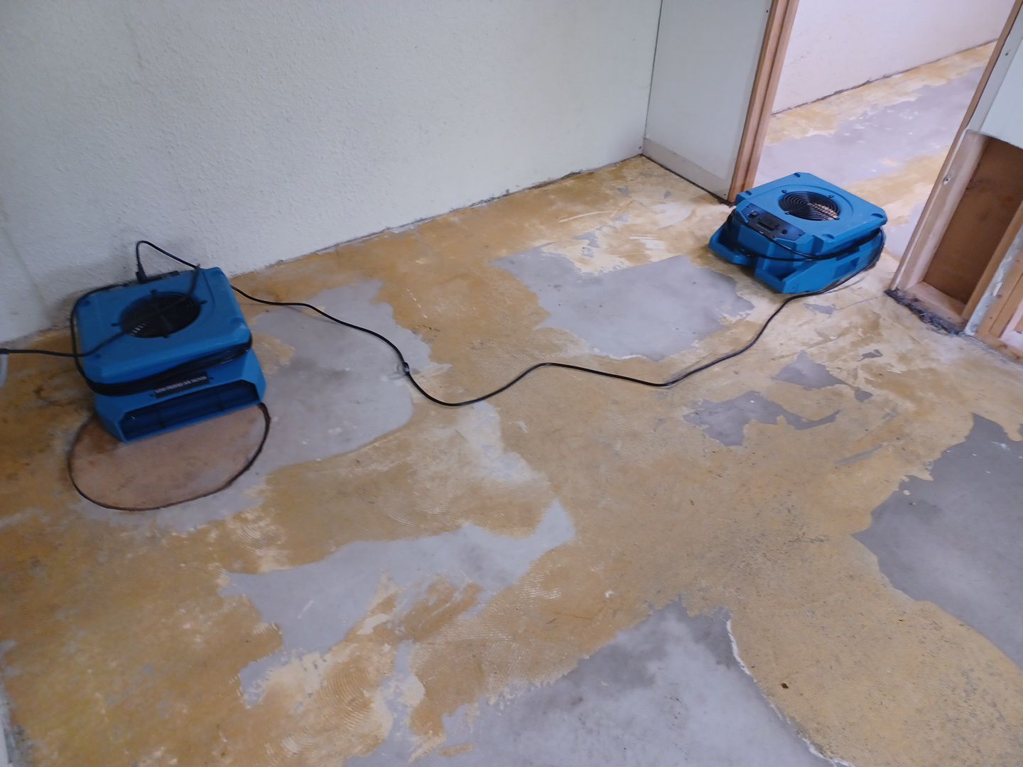 Project in Bloomfield Hills by EzDry Water Mitigation & Property Restoration