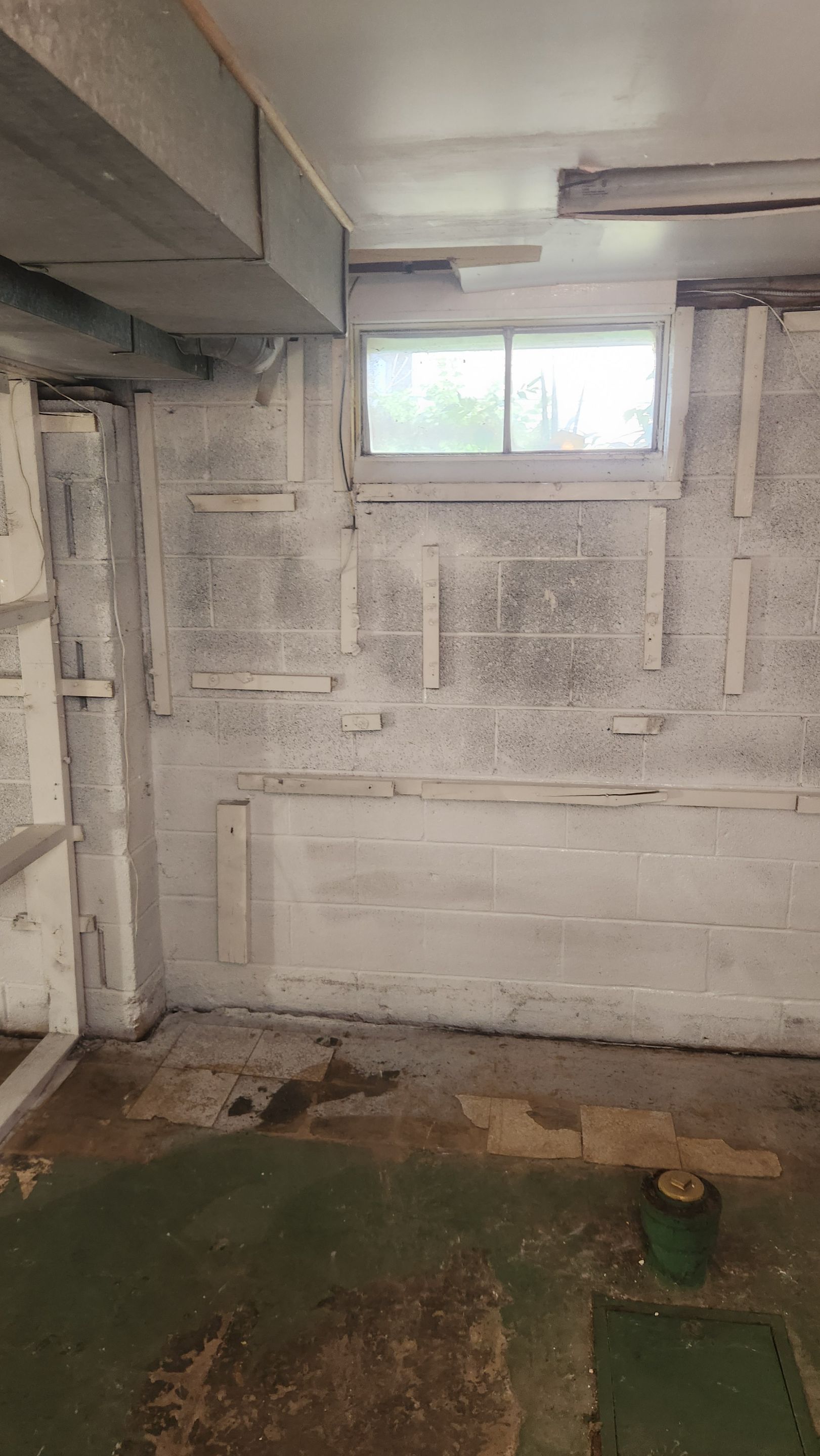Interior French Drain & Mold Remediation Project in Manville, New Jersey by Pure Service Pro, LLC 