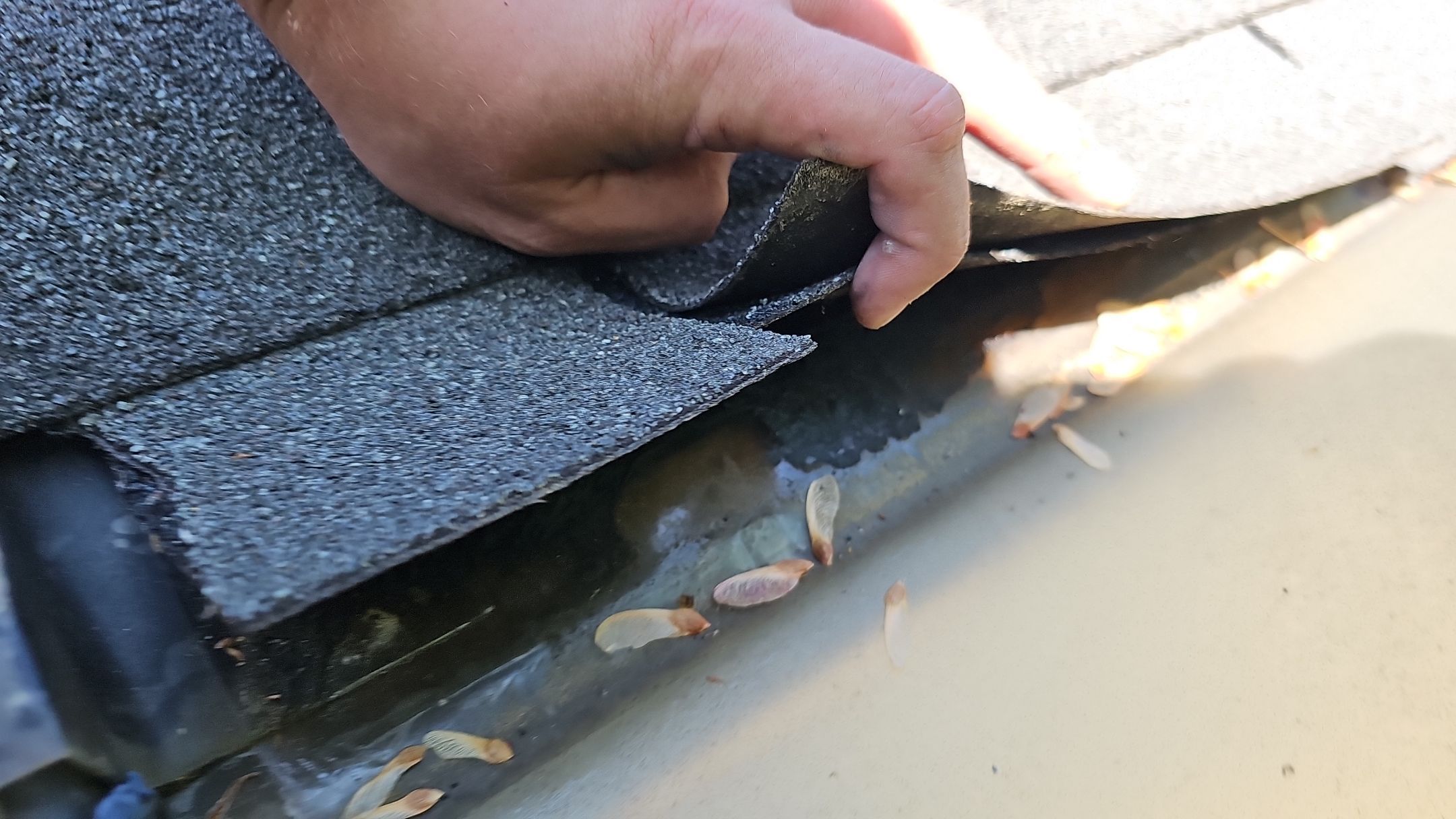 ATLAS PINNACLE COLOR PEWTER by Eagle Eye Roofing