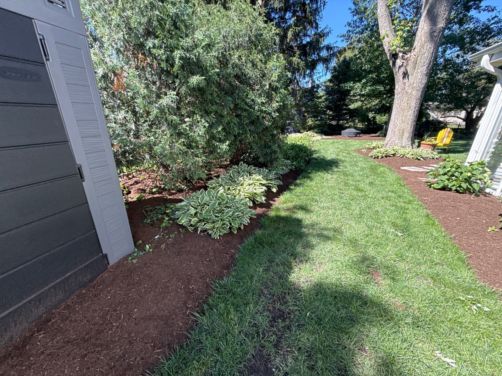 Lesley D. - Arlington Heights, IL by A&N 