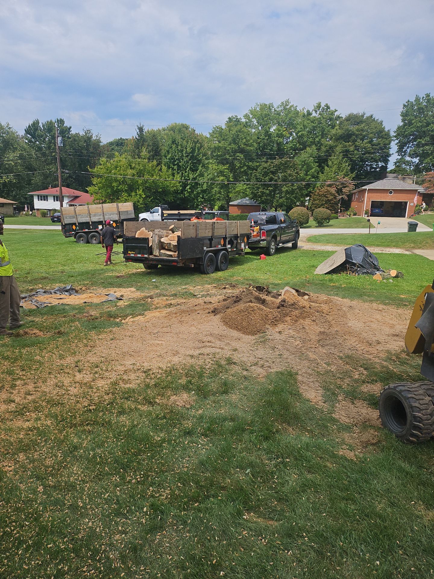 Tree Removal using Tree Removal by Mike Jones & Sons Tree Service LLC 