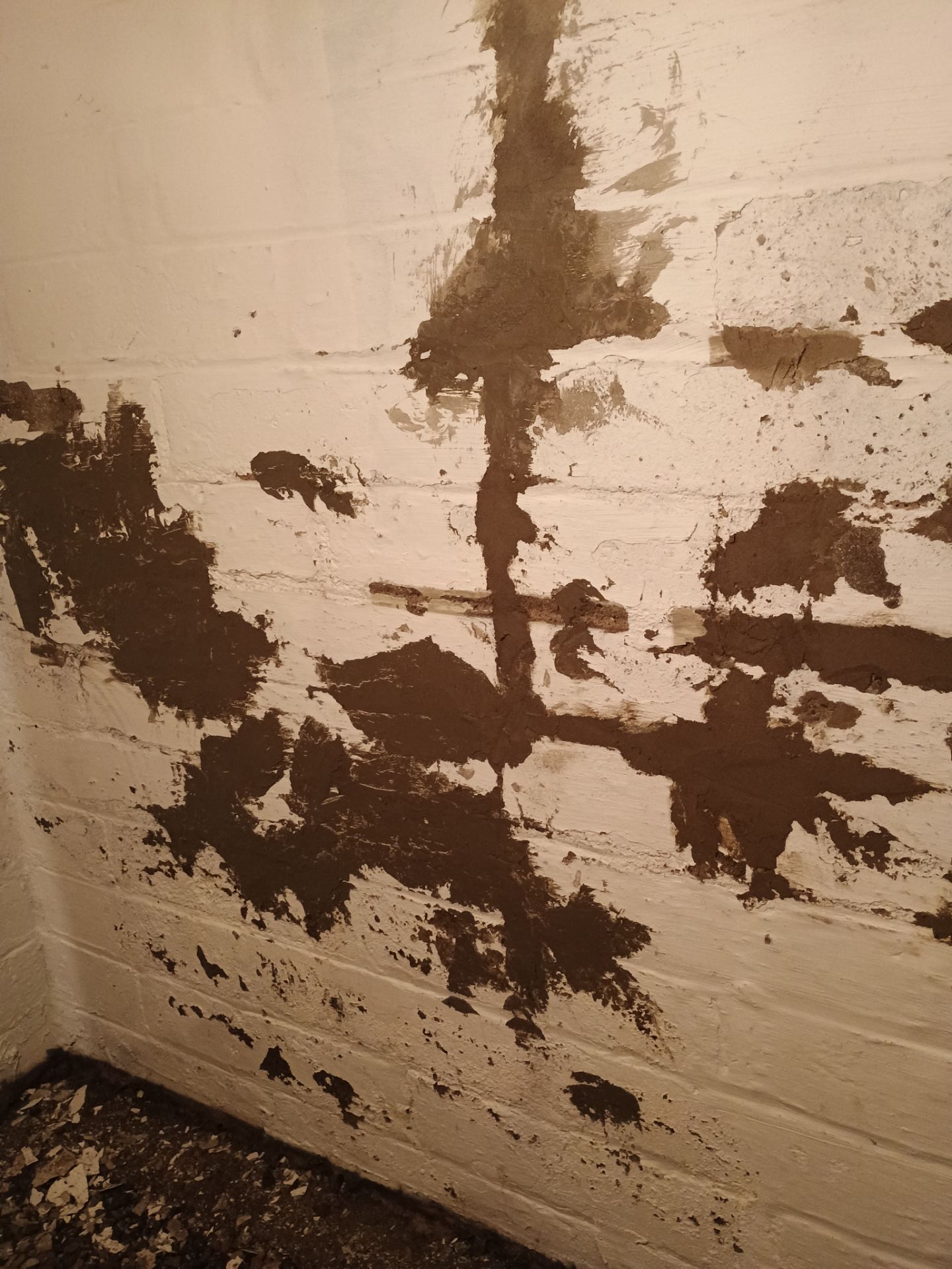 Updating Taylor's Waterproofing System by Waterproofing Northeast