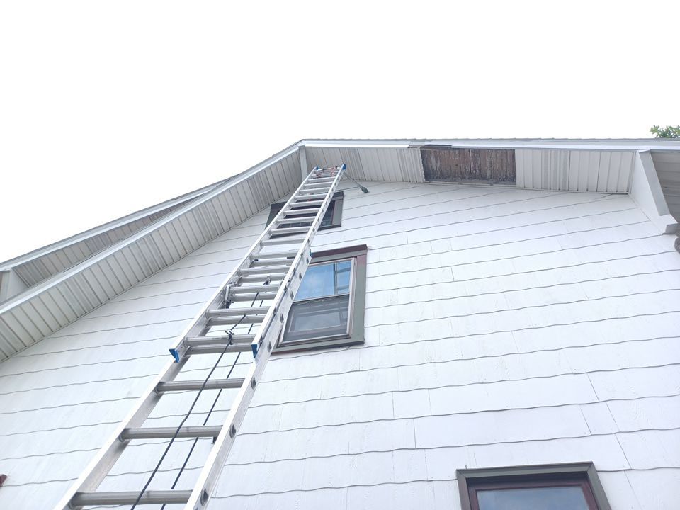 Brittany Minocchi by Silver Leaf Contracting 