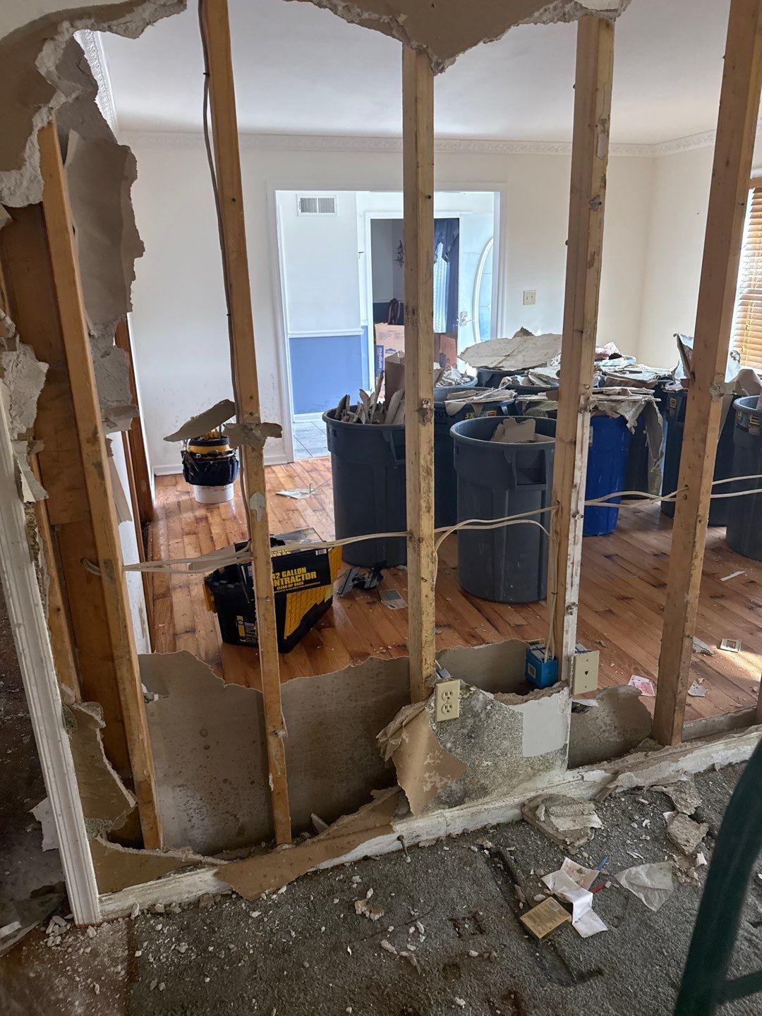 Water Damage& Mold Remediation Project-Dover, DE. by Healthy Home Solutions