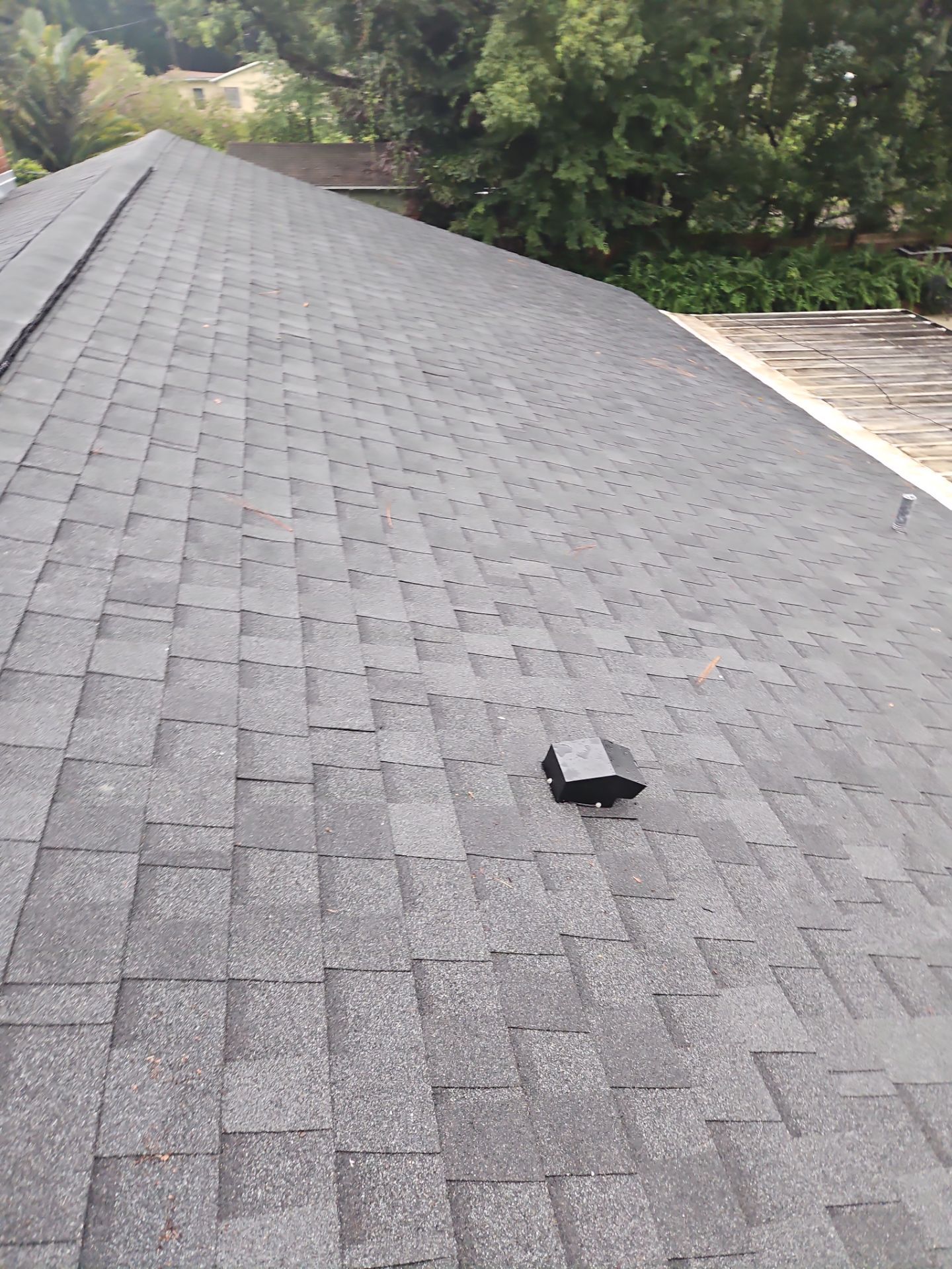 Shingle Reroof Replacement New Smyrna Beach FL by Pinnacle Roofing Group