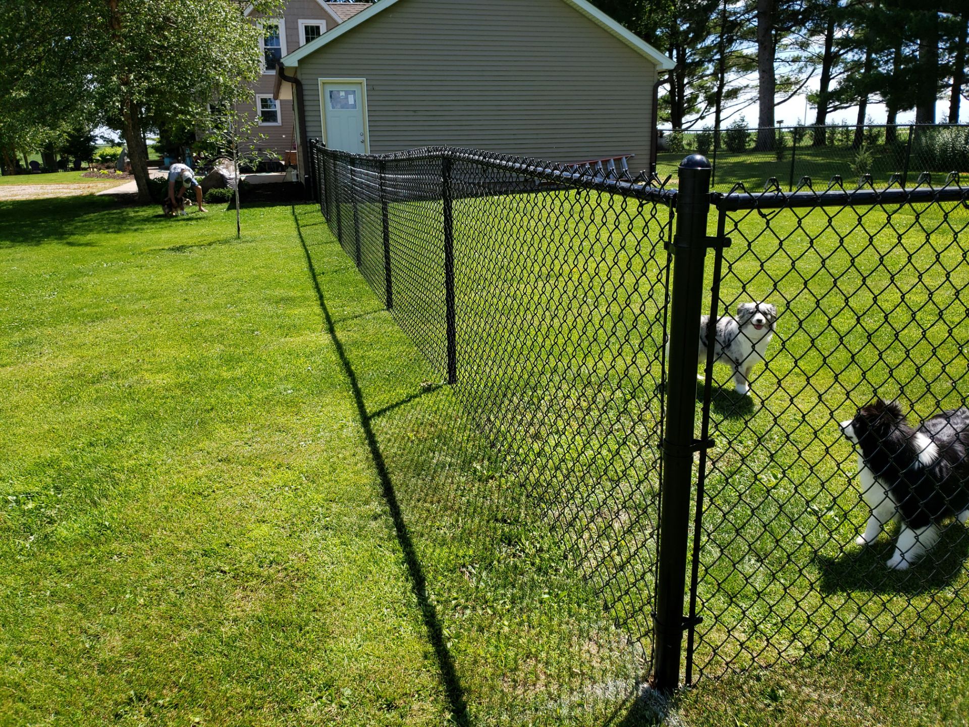 Residential Black Vinyl-Coated Chain Link Fence Installation in Bristow by Perfect Picket Fence and Stain