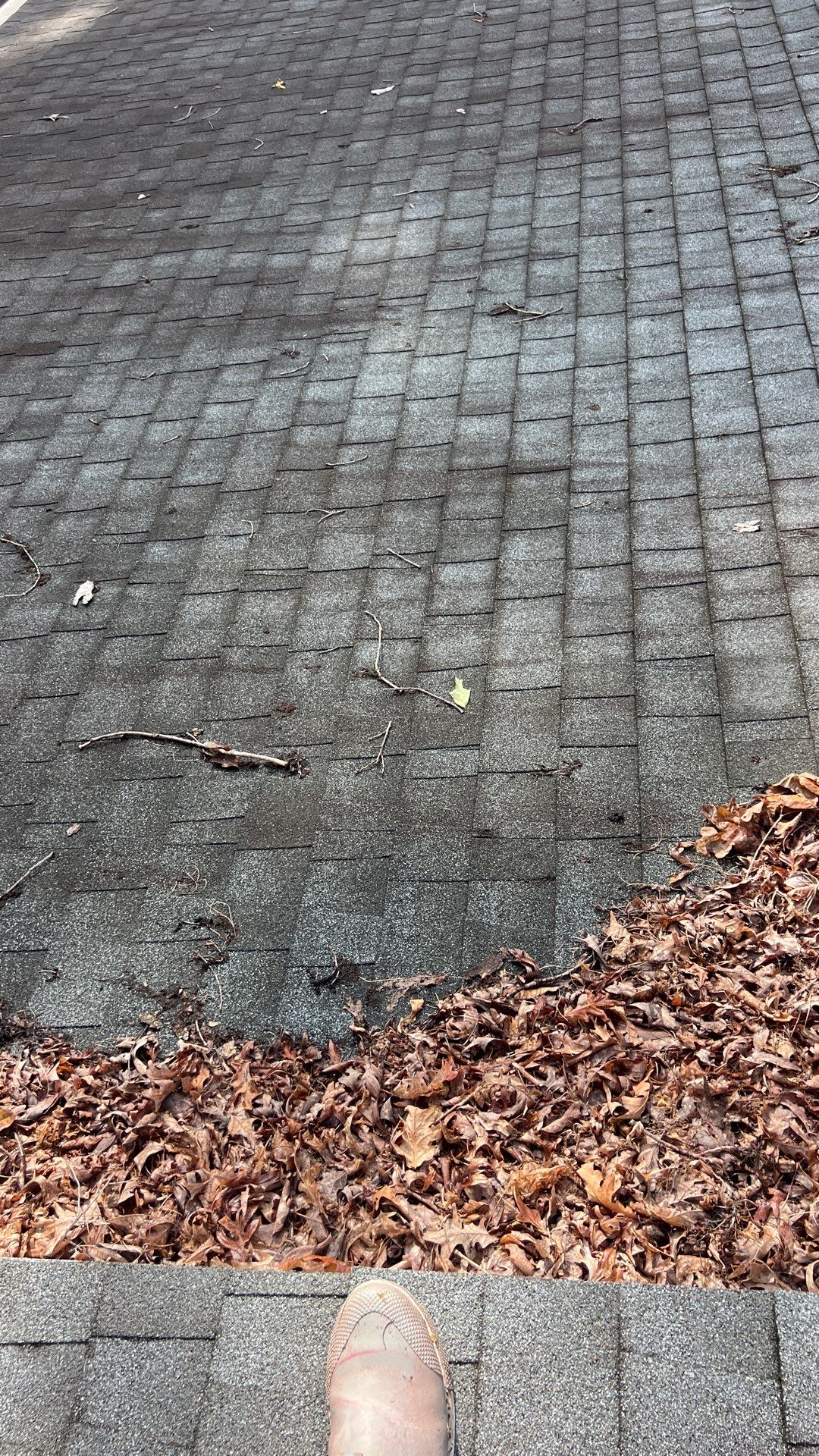 Project in Sandston by Roof Maxx of Midlothian