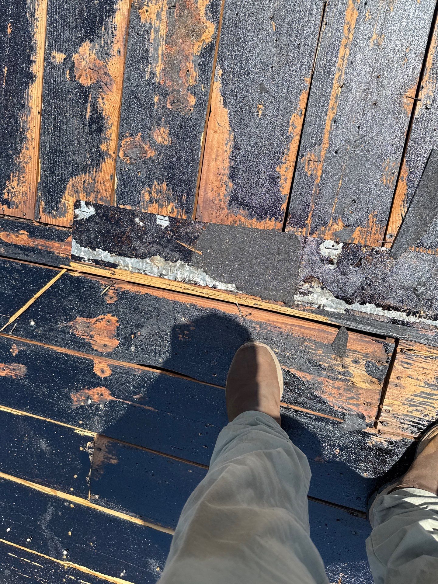 Project in Pinellas Park 33781 by Mitchell Roofing Company LLC 