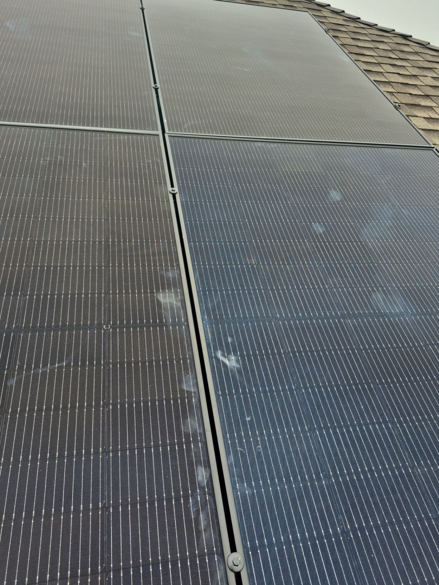 Joyce in Glenn Heights by Trojan Solar