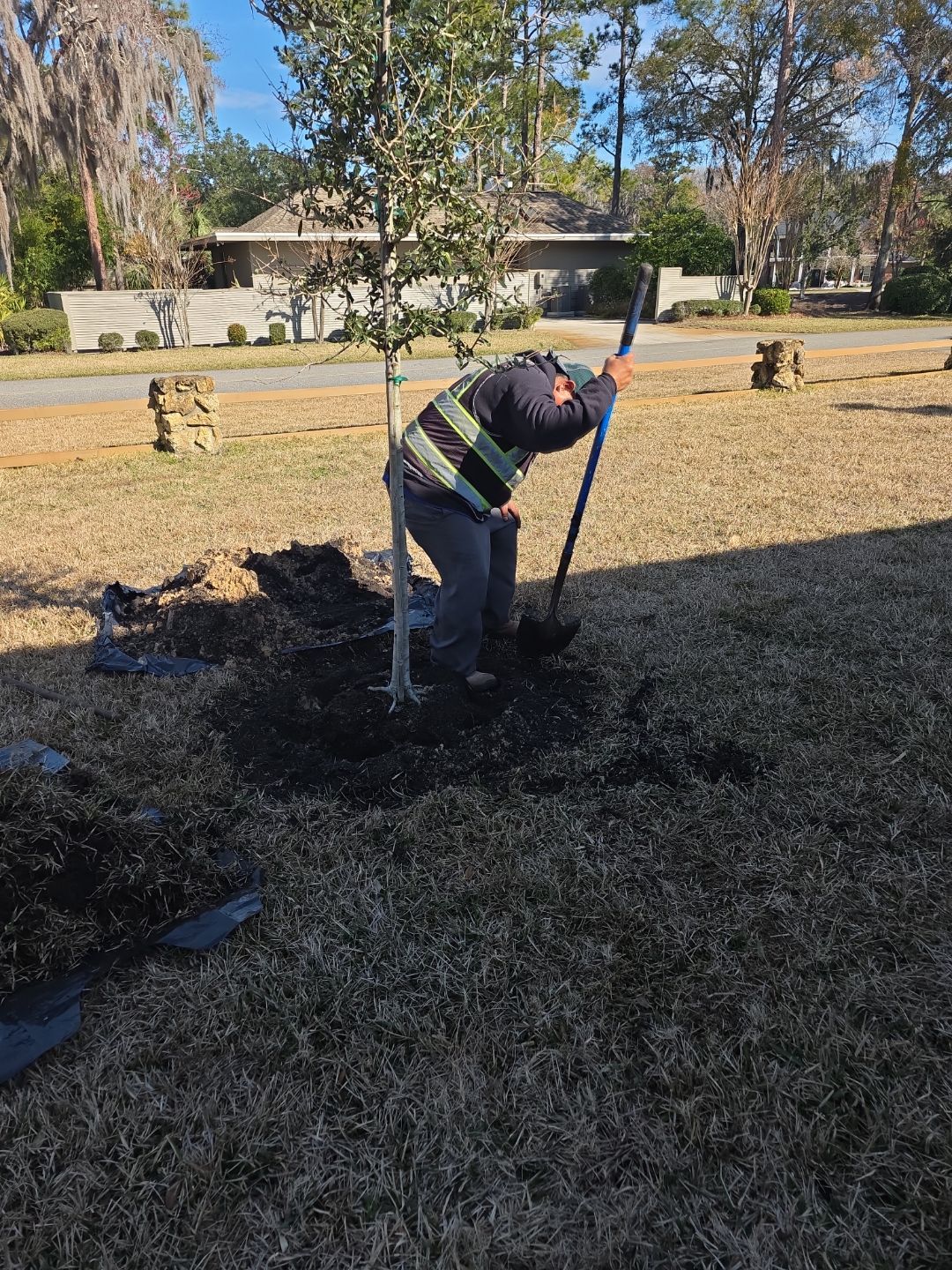 Deerwood Resident | Tree Install by ProGreen Services