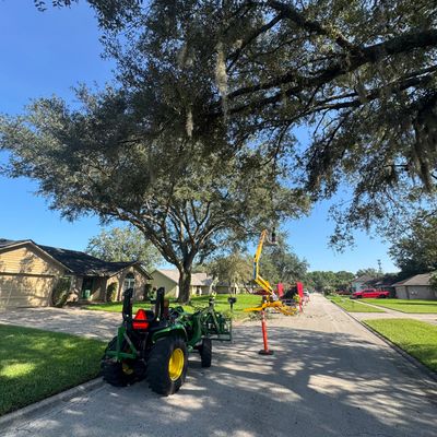 Residential | Tree Trimming