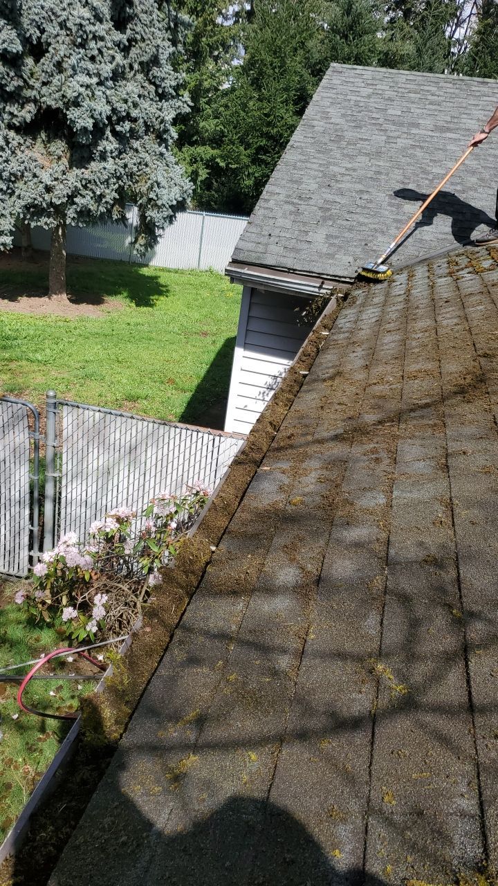 Roof Cleaning Moss Treatment by Willamette Outdoor Wash LLC