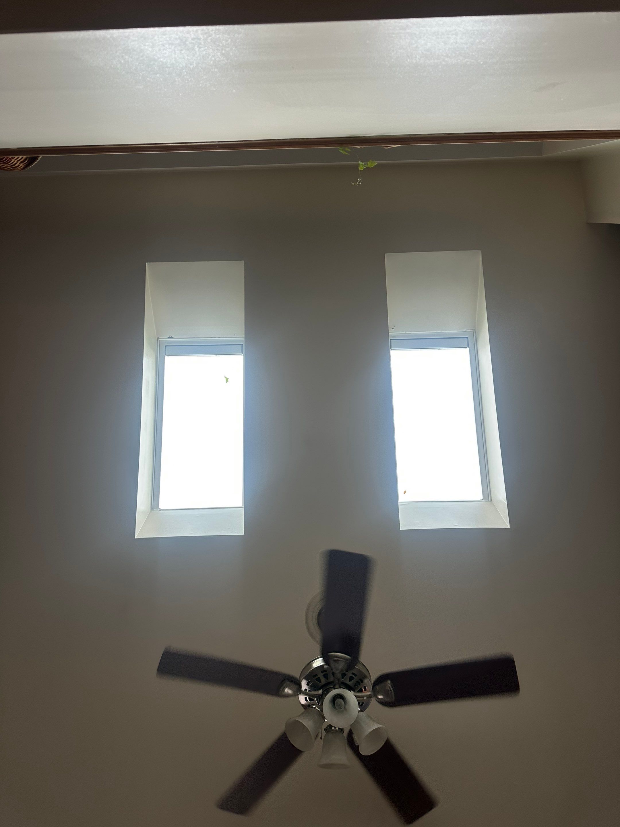 Skylight by Aspen Home Improvements